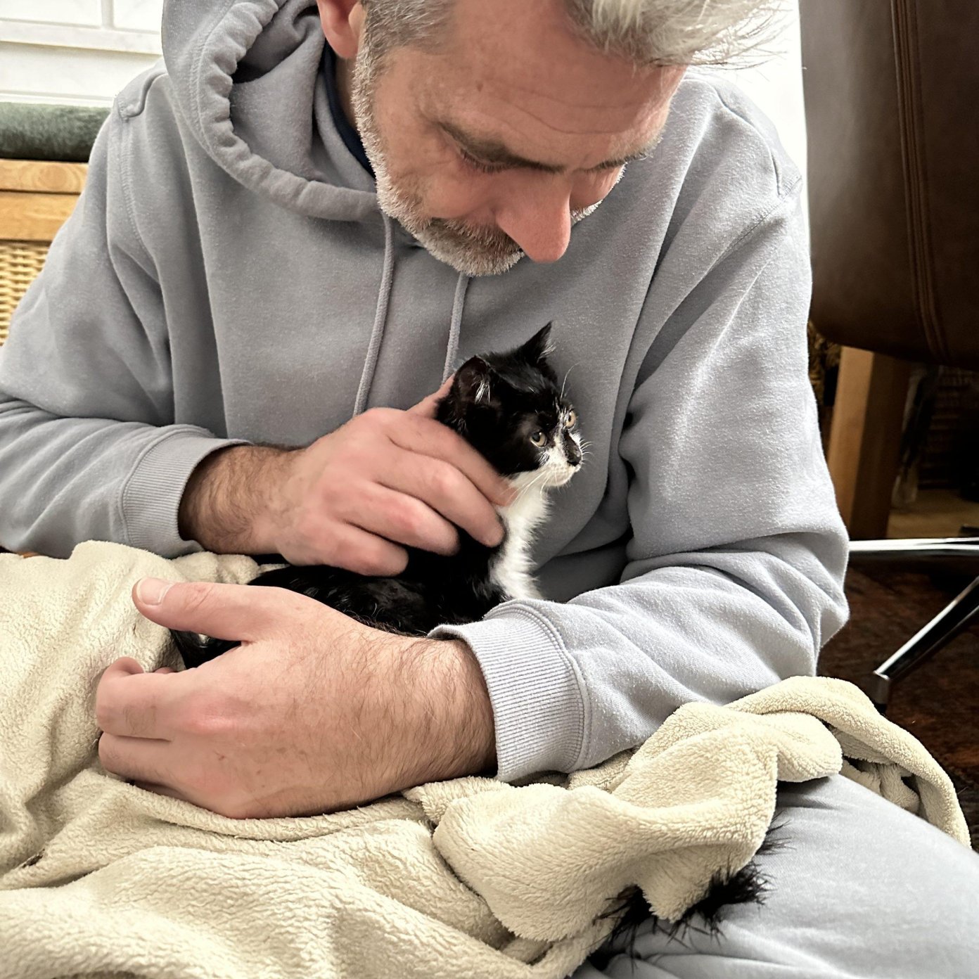 November 2023 - Fundkitten Toffi - Marco Markl