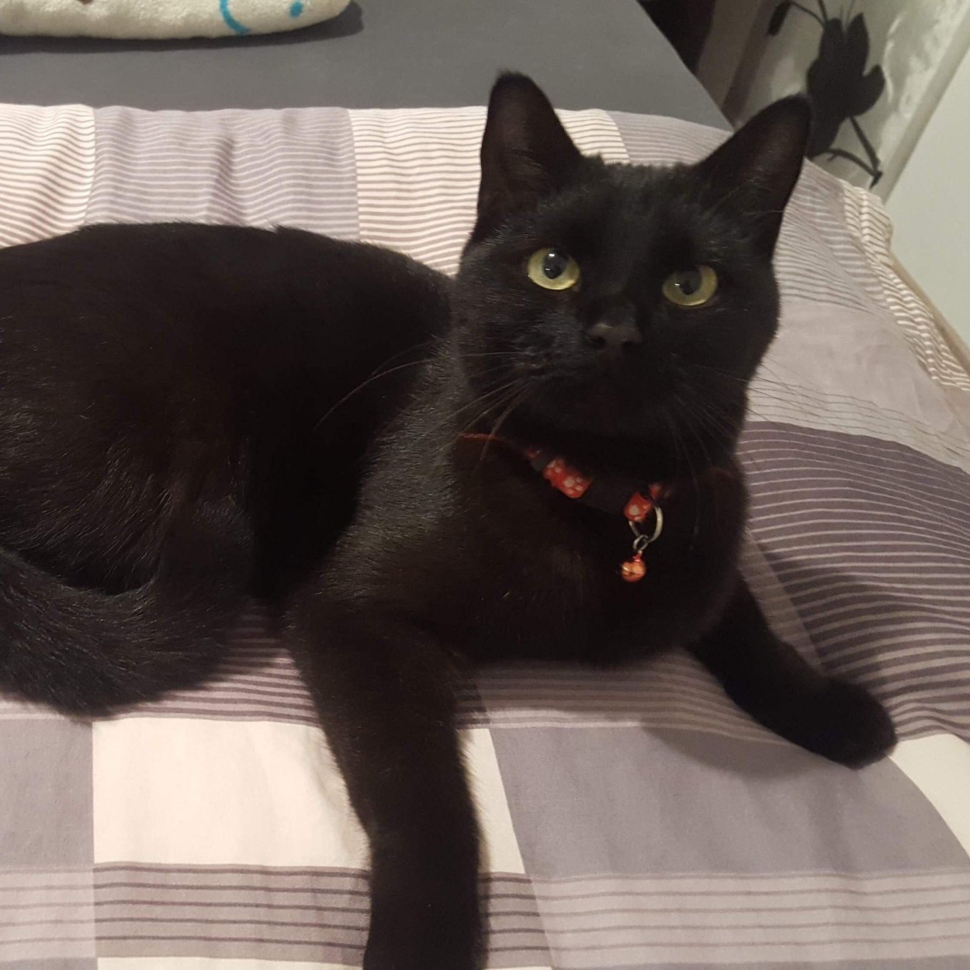 Kundenmeinung verena o