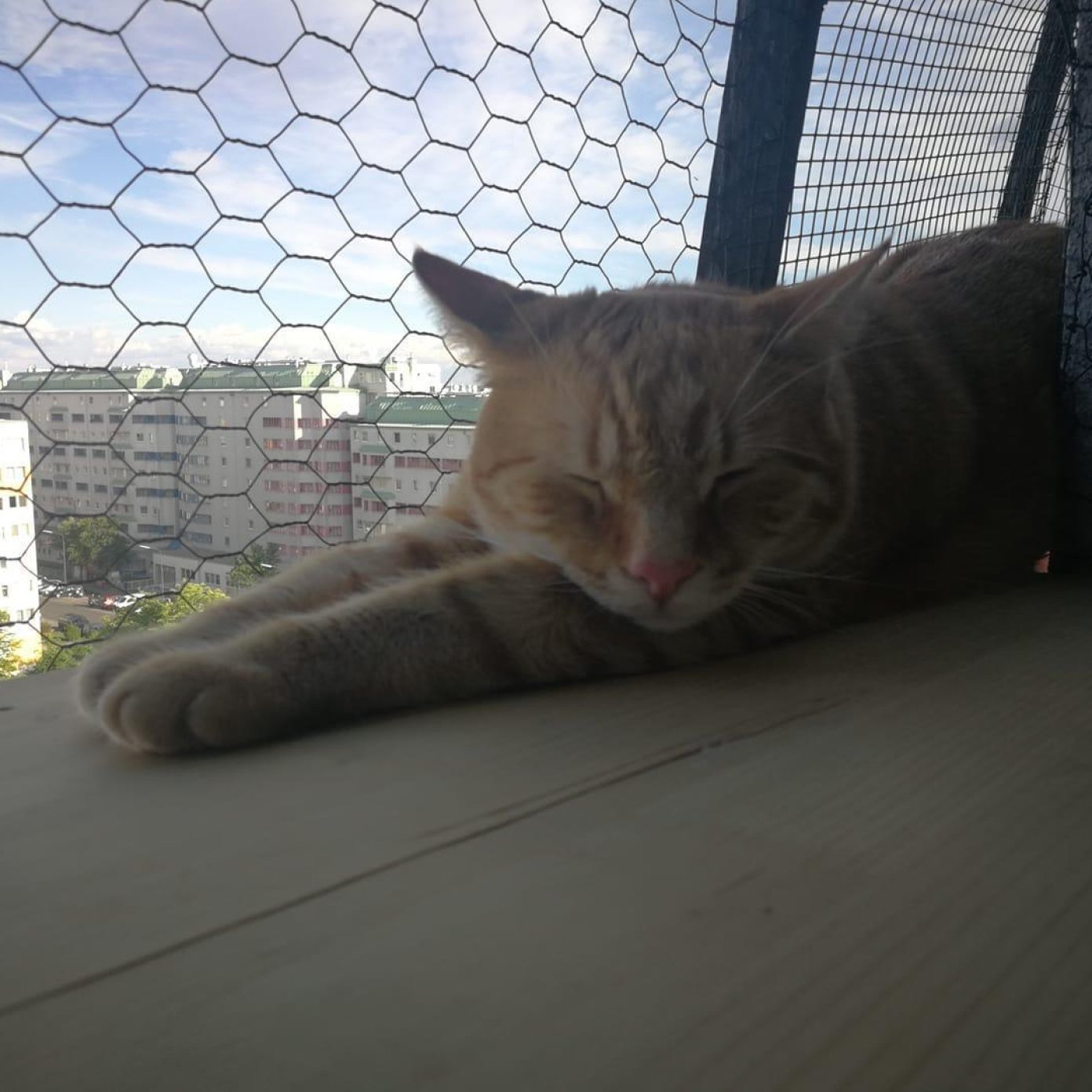 Kundenmeinung tamara s