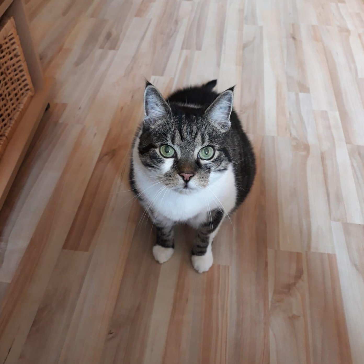 Kundenmeinung susanne s