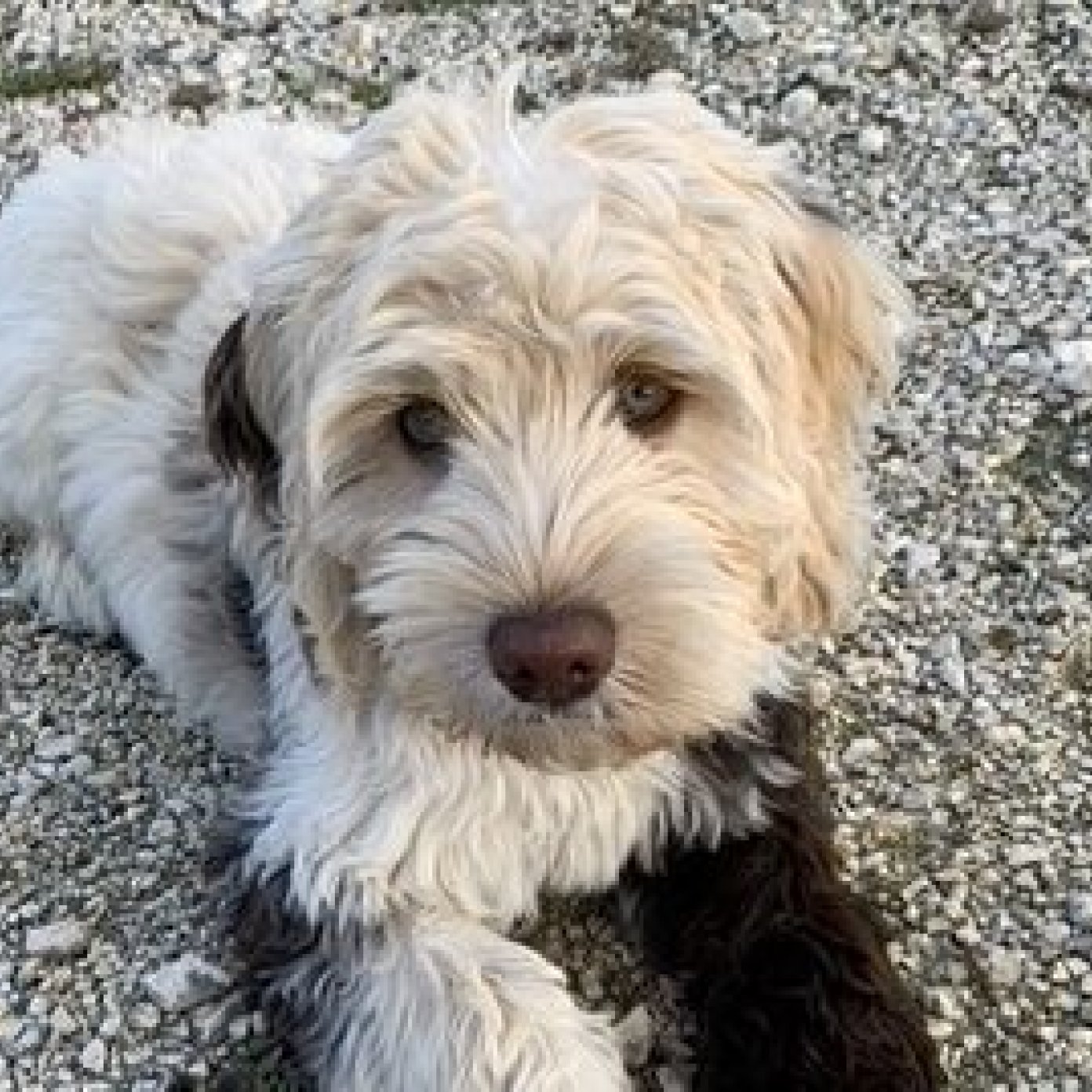 Kundenmeinung sophie p mail noe