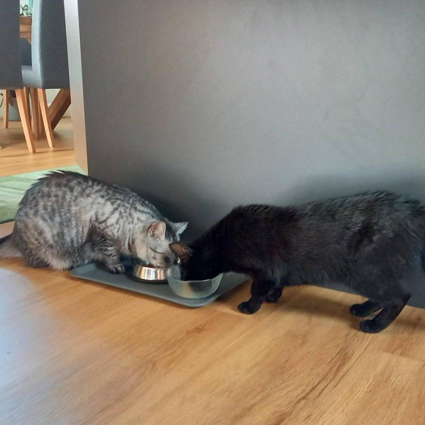 Kundenmeinung kathrin s noe mail