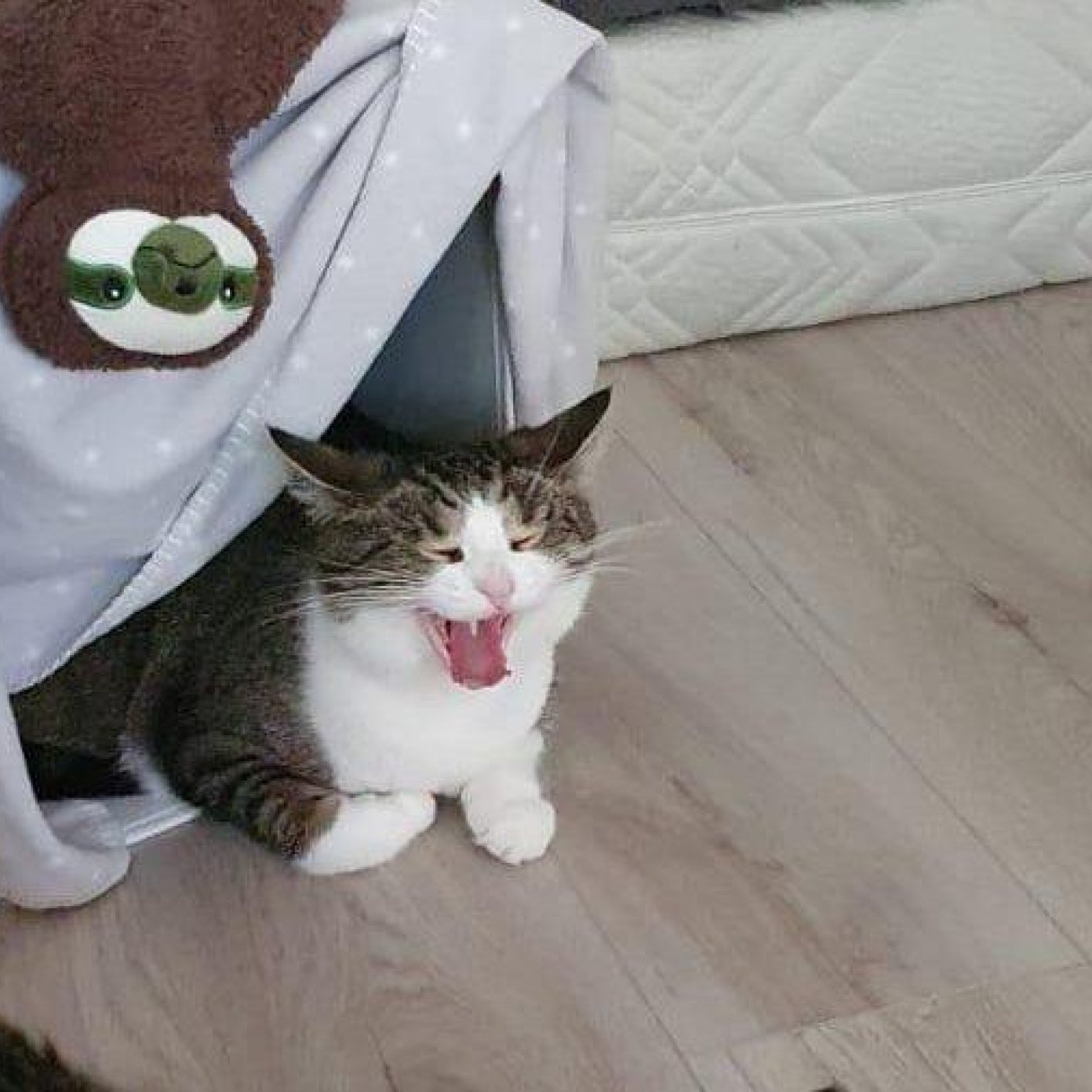 202107 kundenmeinung karin g wien