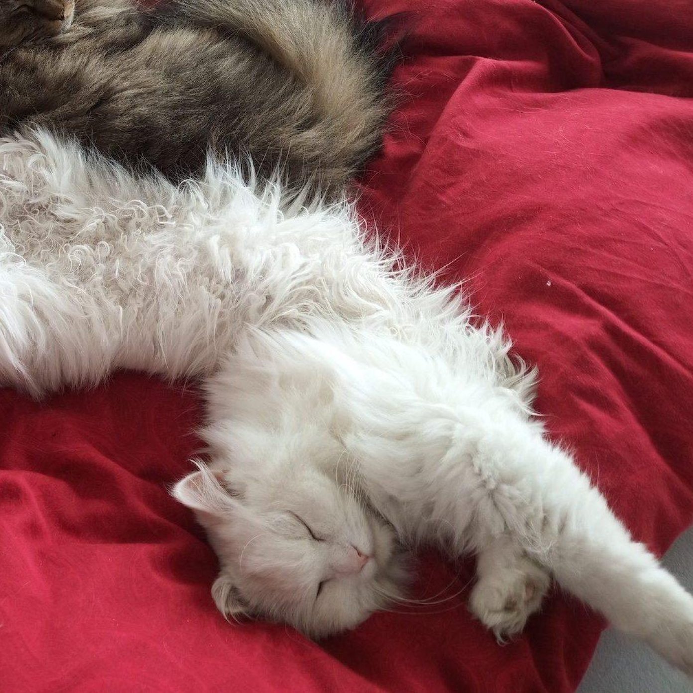 2022 kundenmeinung doris p facebook wien