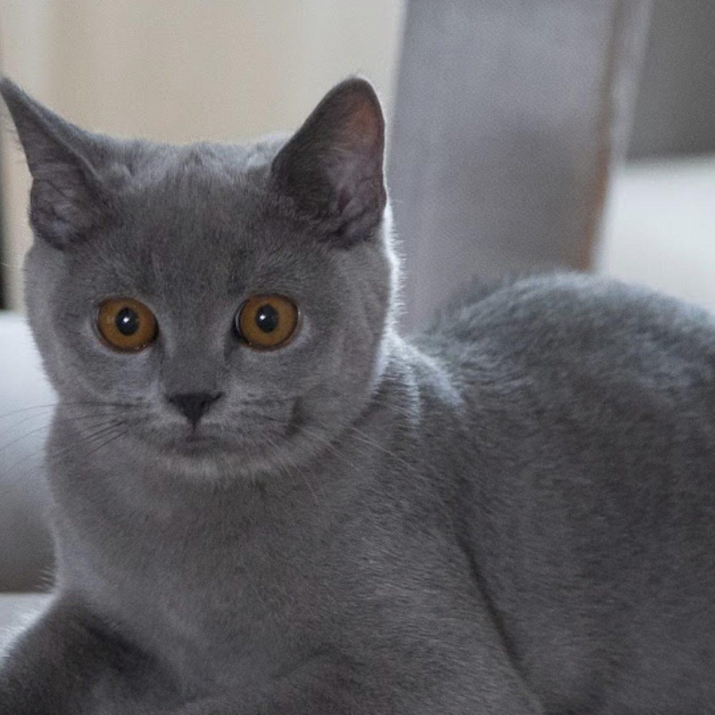 202208 kundenmeinung martin k google wien