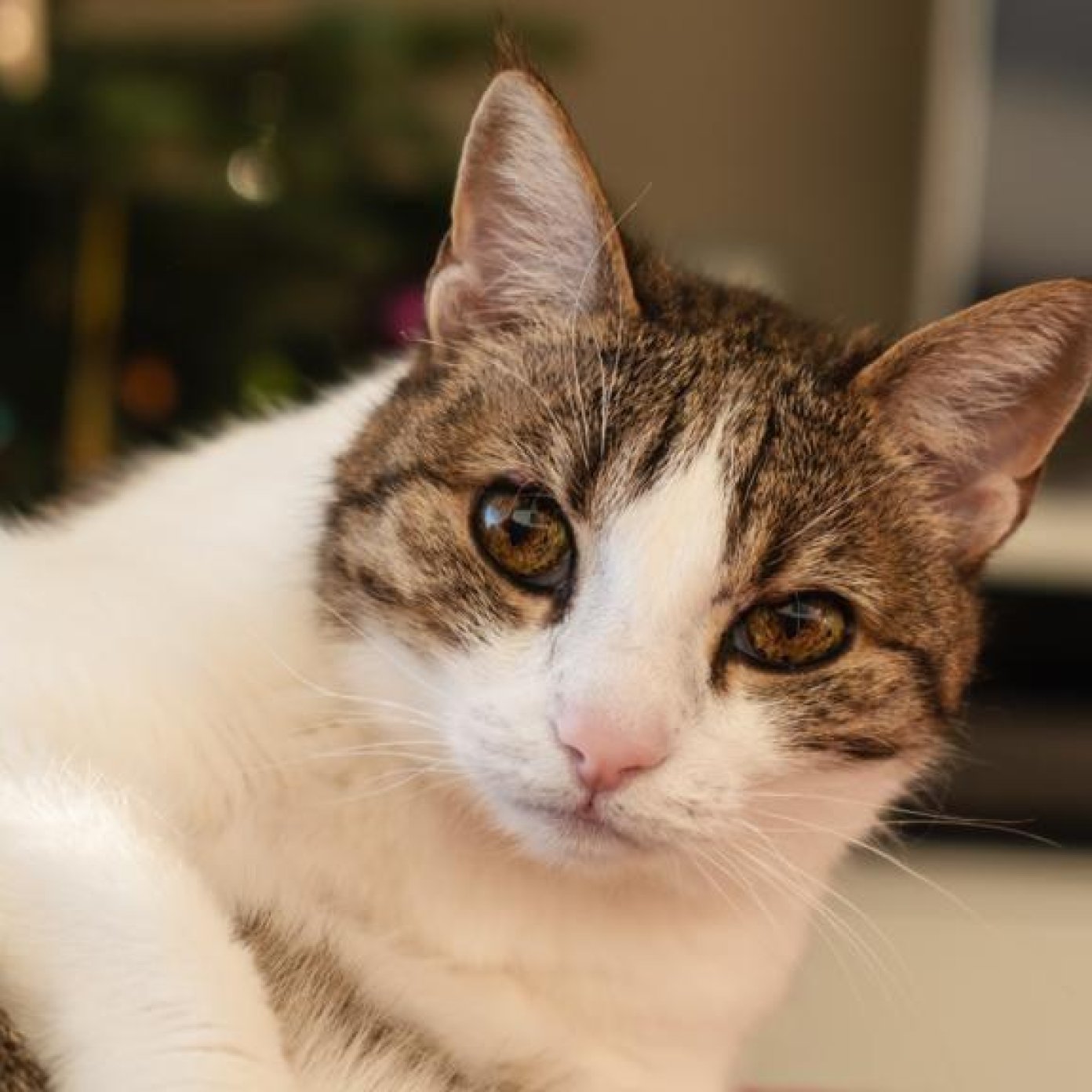 202211 kundenmeinung bianca p mail wien