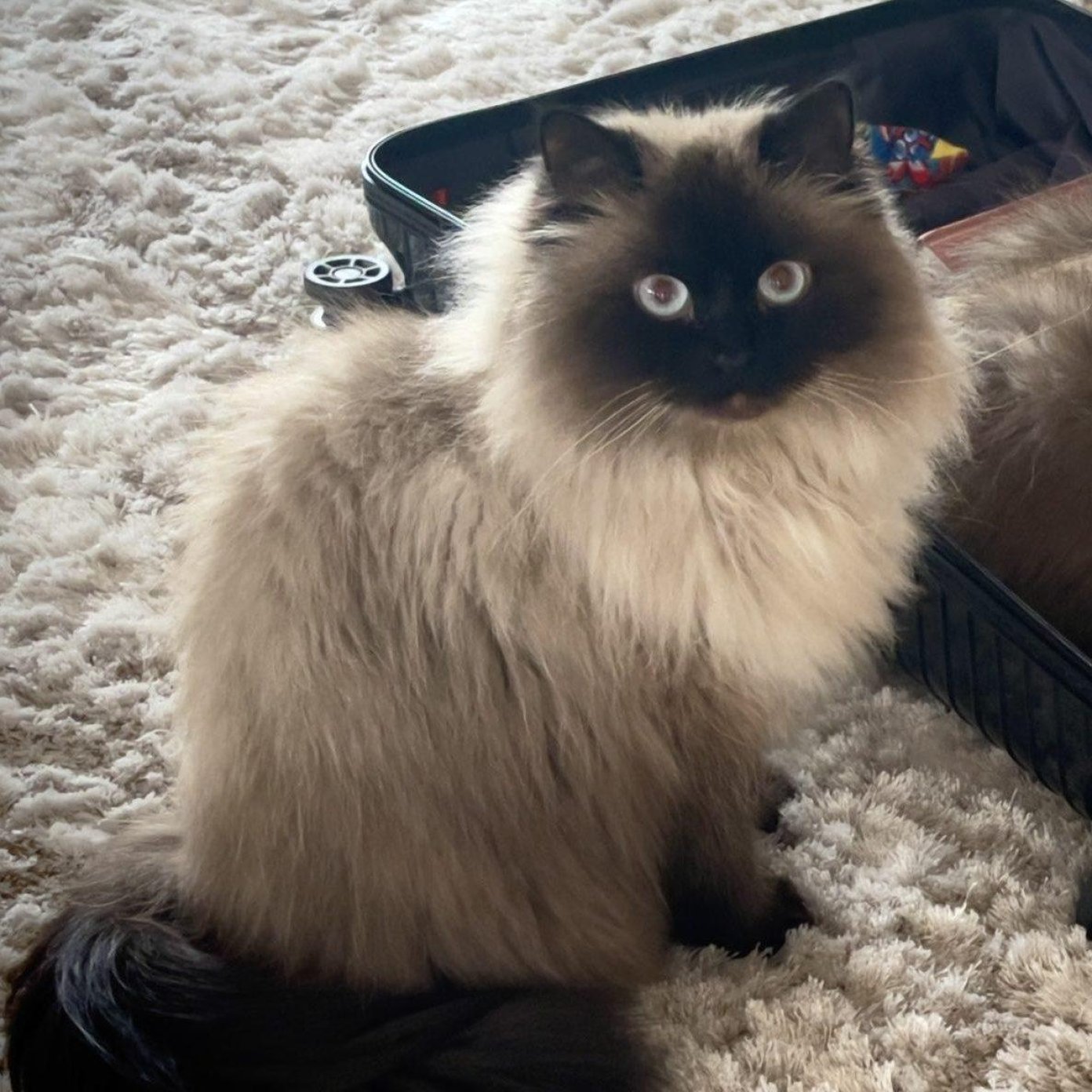 202301 kundenmeinung sabine a facebook wien