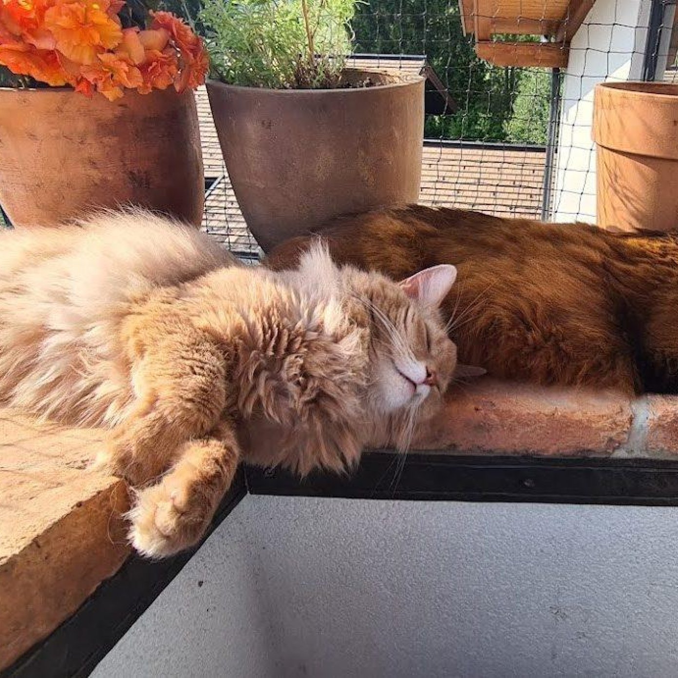 202308 kundenmeinung martin s salzburg google