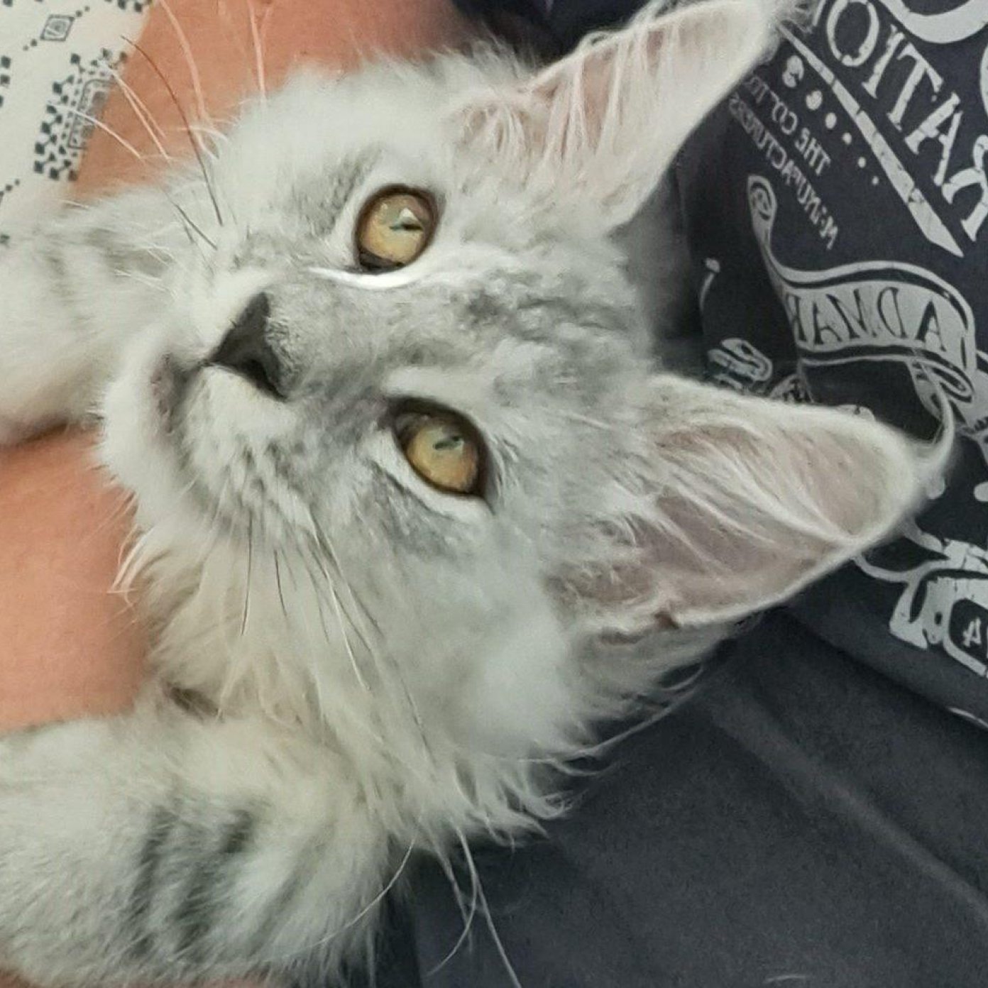 202404 kundenmeinung roman k google noe