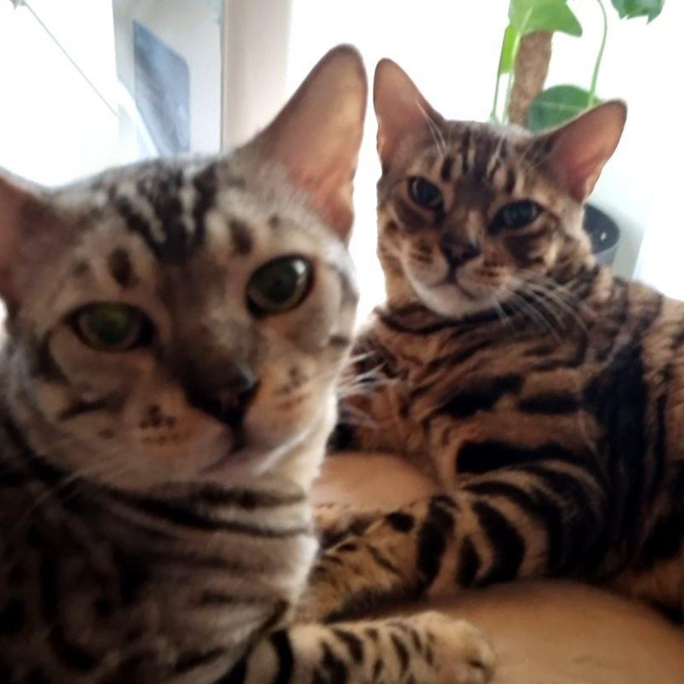 202407 kundenmeinung michi herold