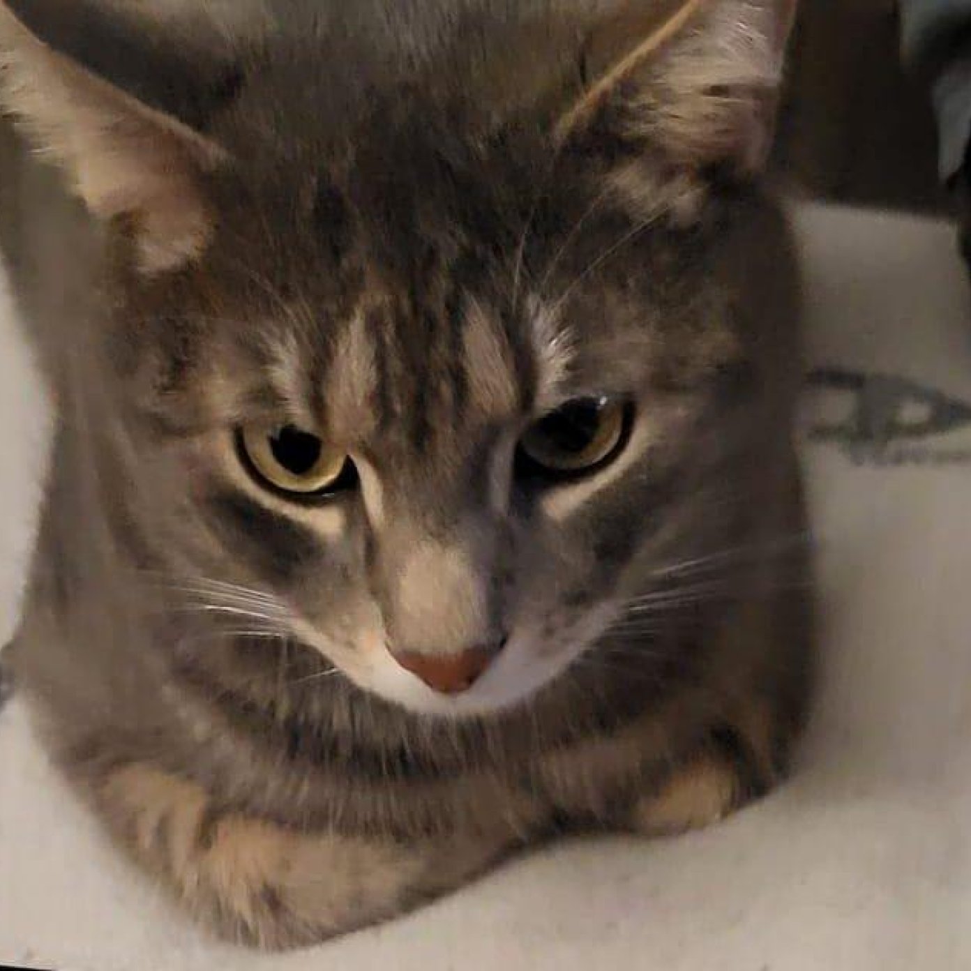 202501 kundenmeinung ulli n mail wien