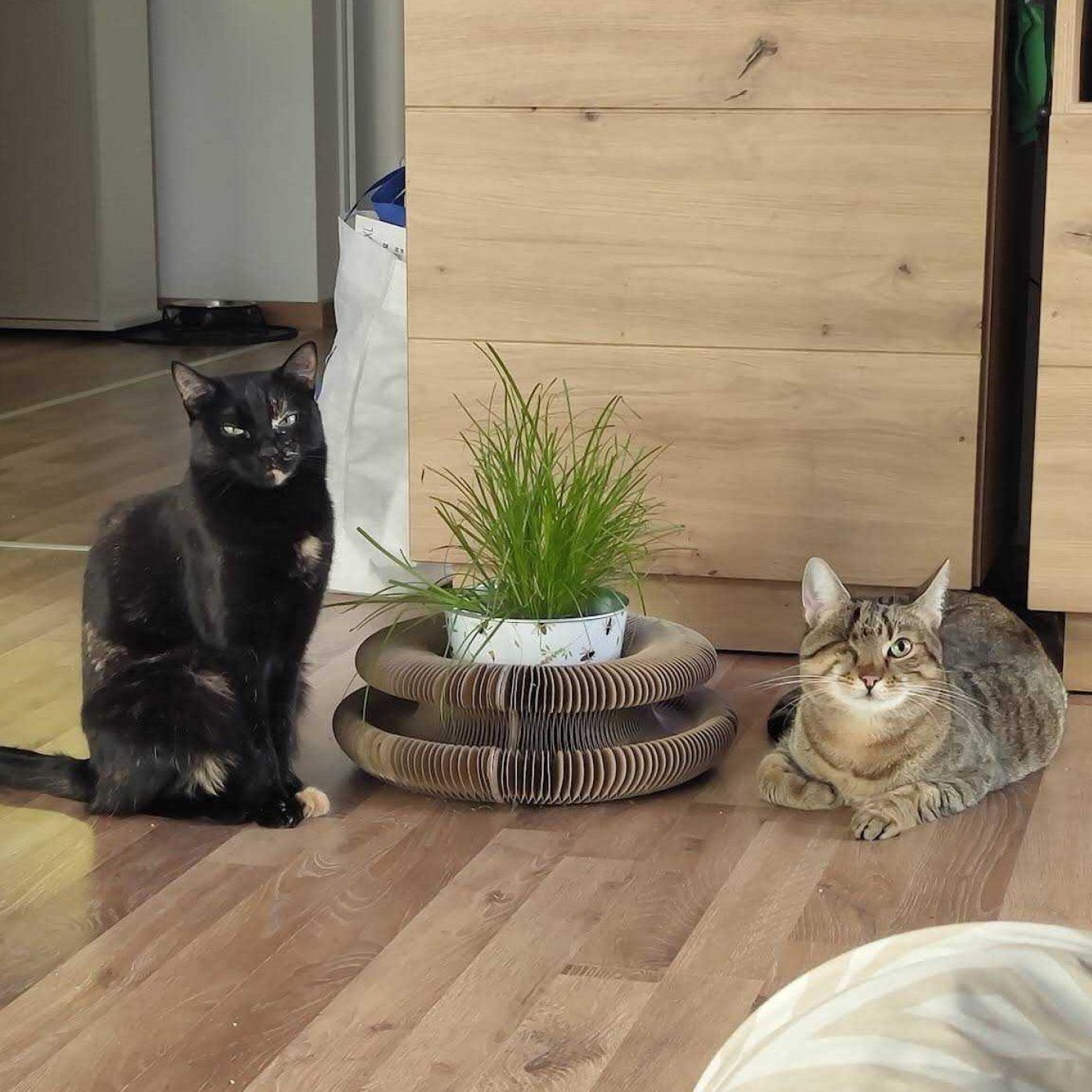 202502 kundenmeinung anna nadja google noe