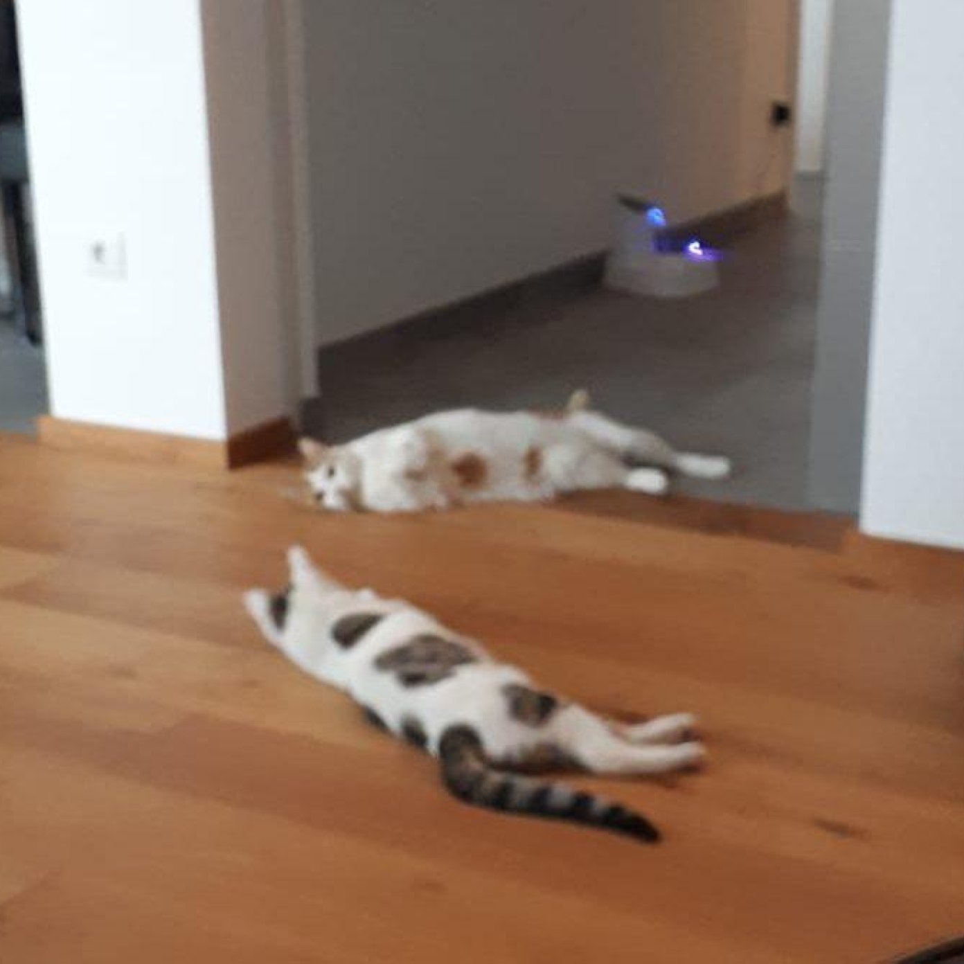 Kundenmeinung denise m