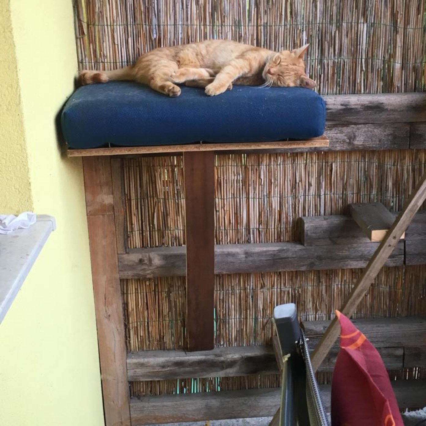 Kundenmeinung bettina f 2