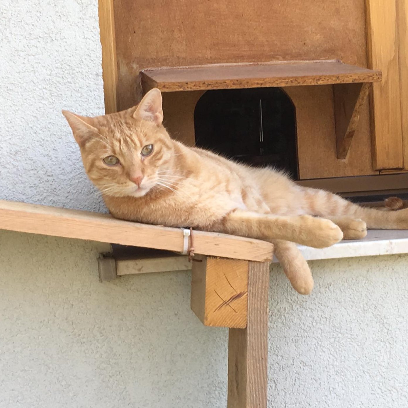 Kundenmeinung bettina f 1