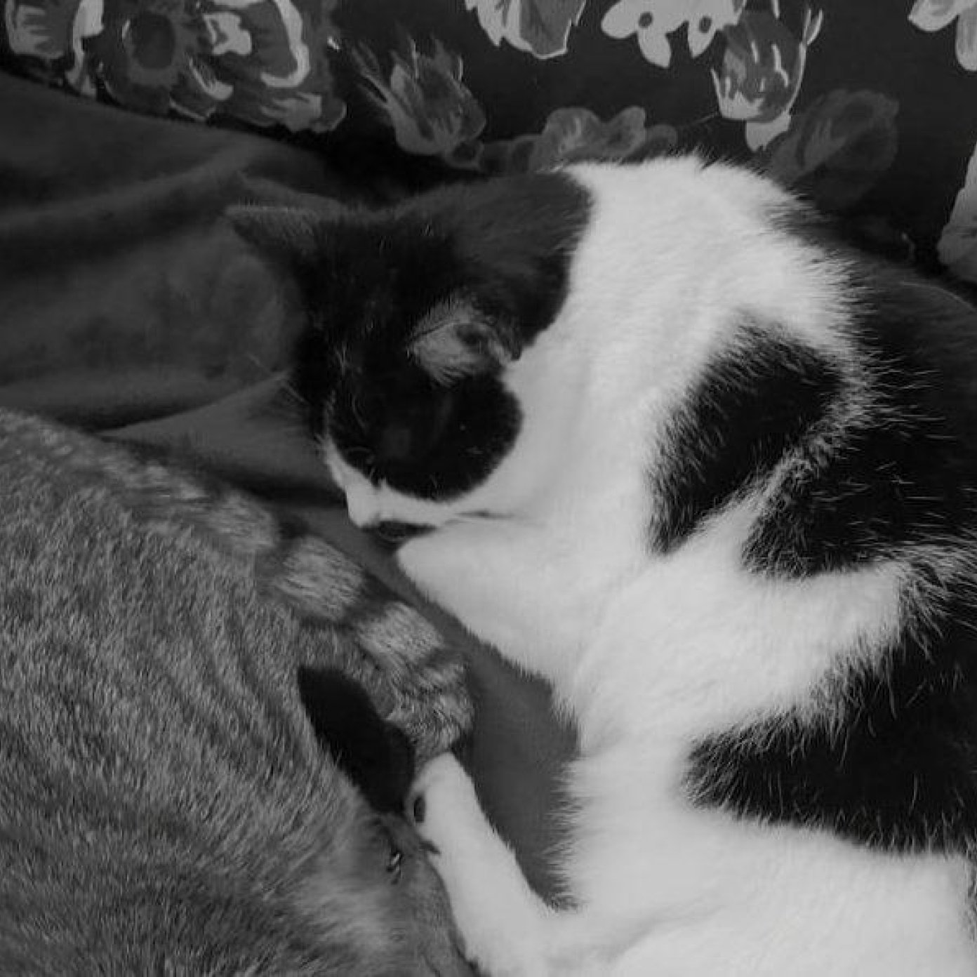 Kundenmeinung anna k