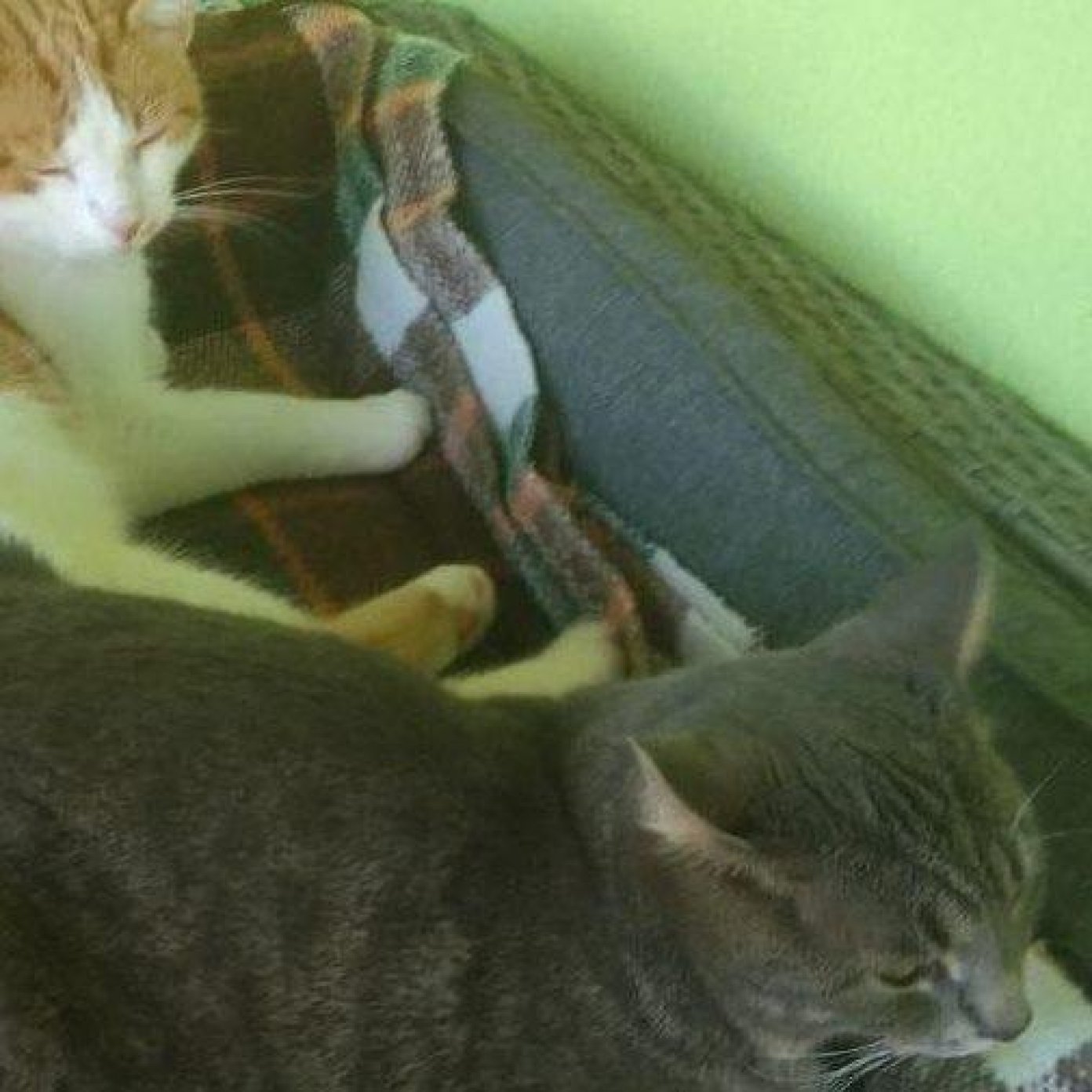 Kundenmeinung andrea d fb noe