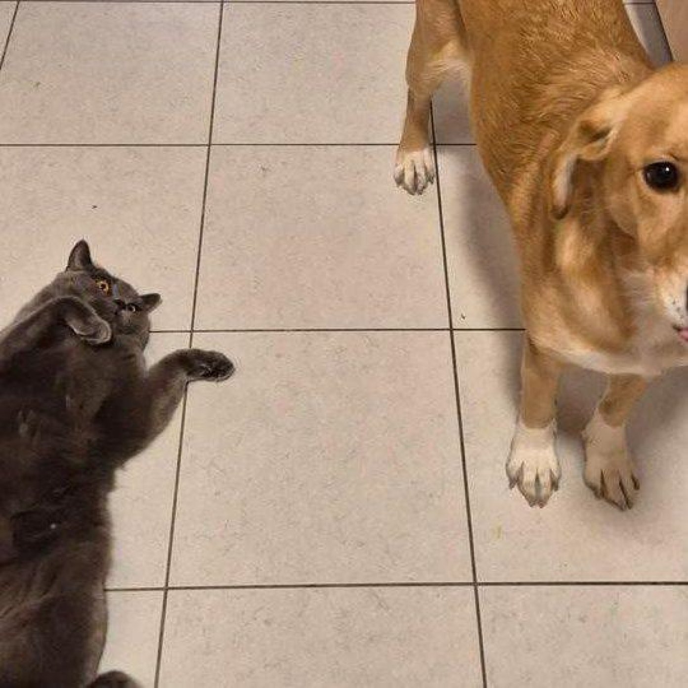 202501 kundenmeinung sabine noe mail