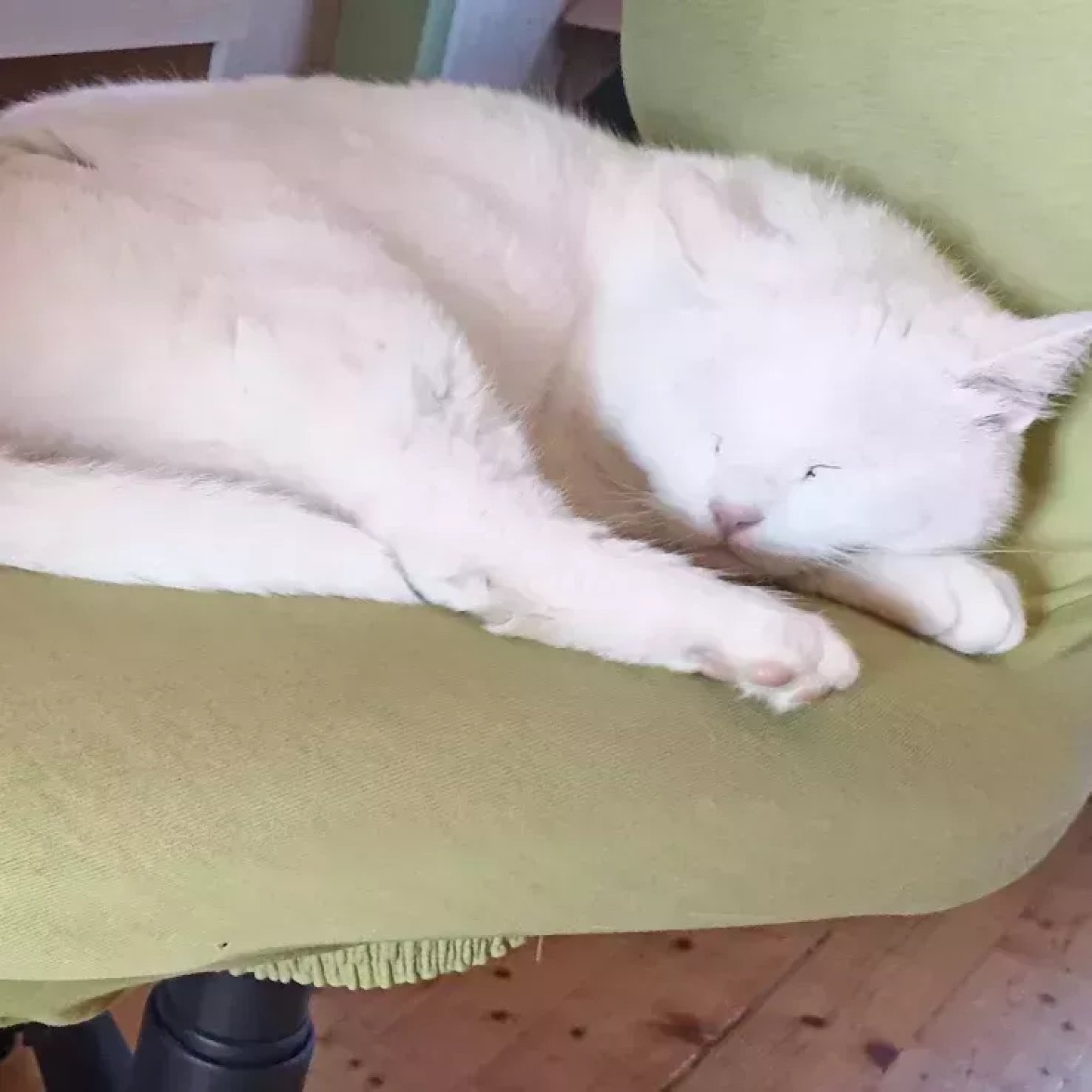 202409 kundenmeinung anita k google ooe