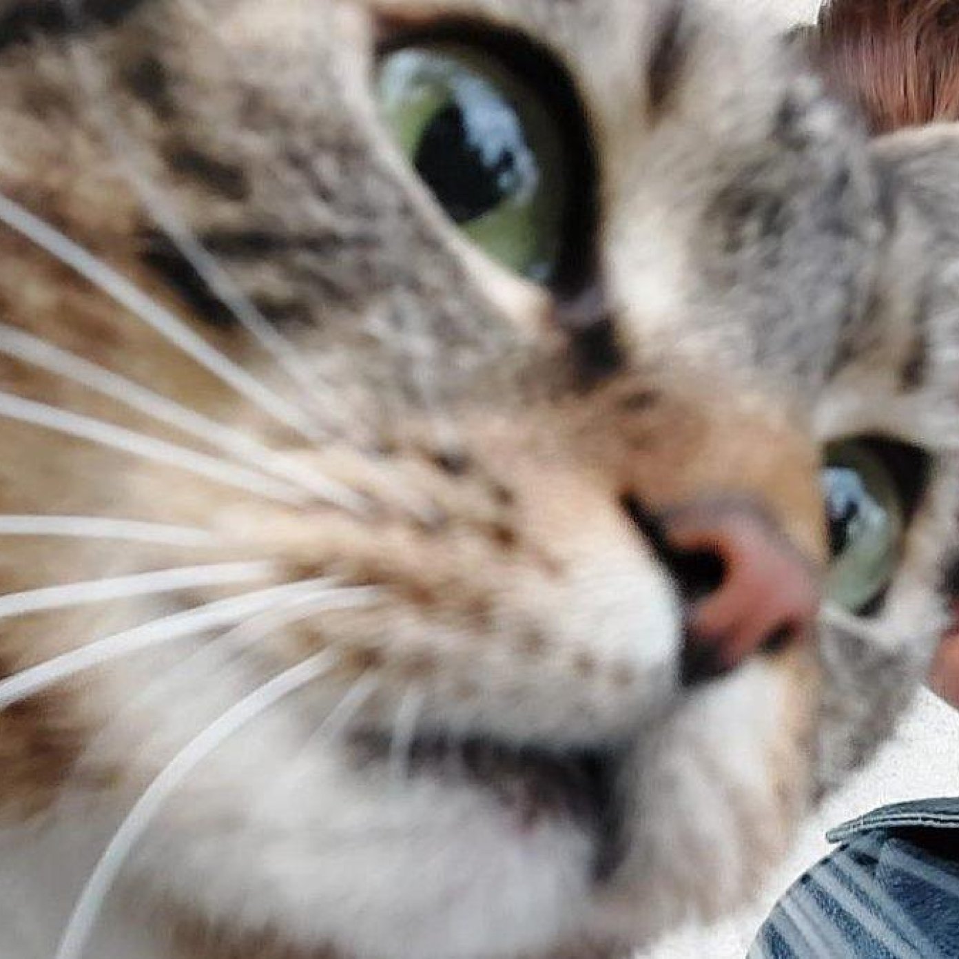 202406 kundenmeinung anna t google wien