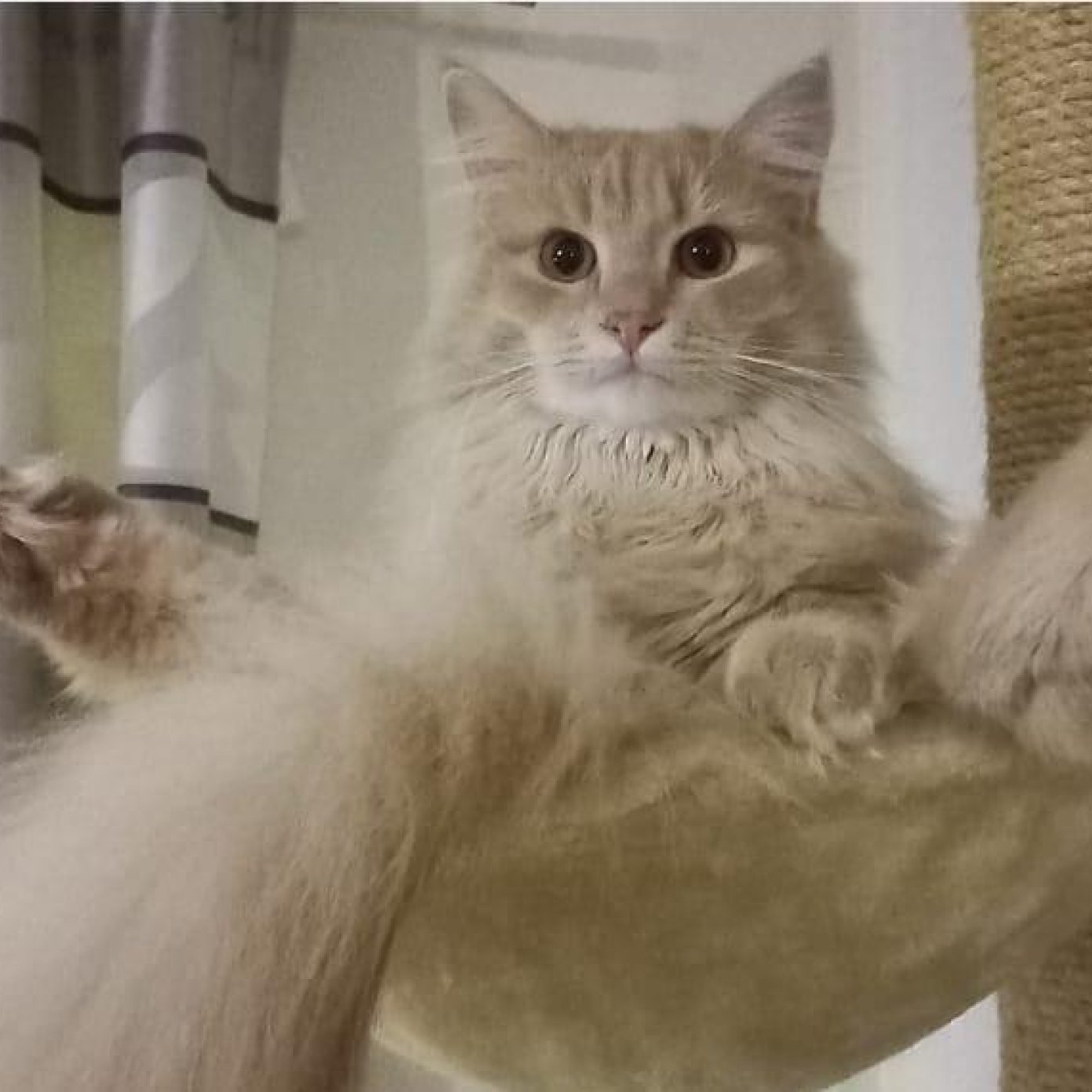 202405 kundenmeinung martina r wien google