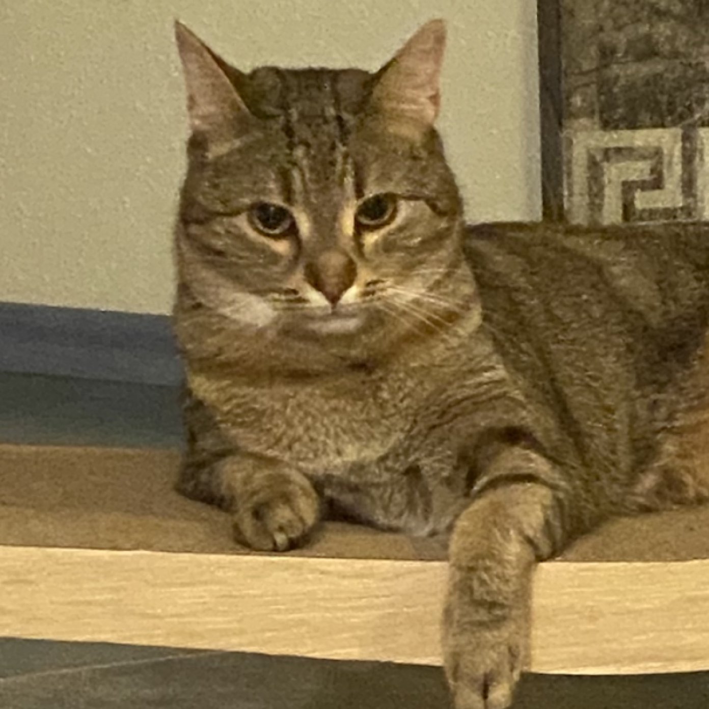 202404 kundenmeinung birgit h google noe