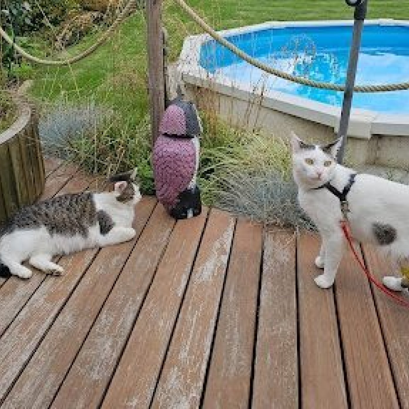 202309 kundenmeinung edwin f noe google