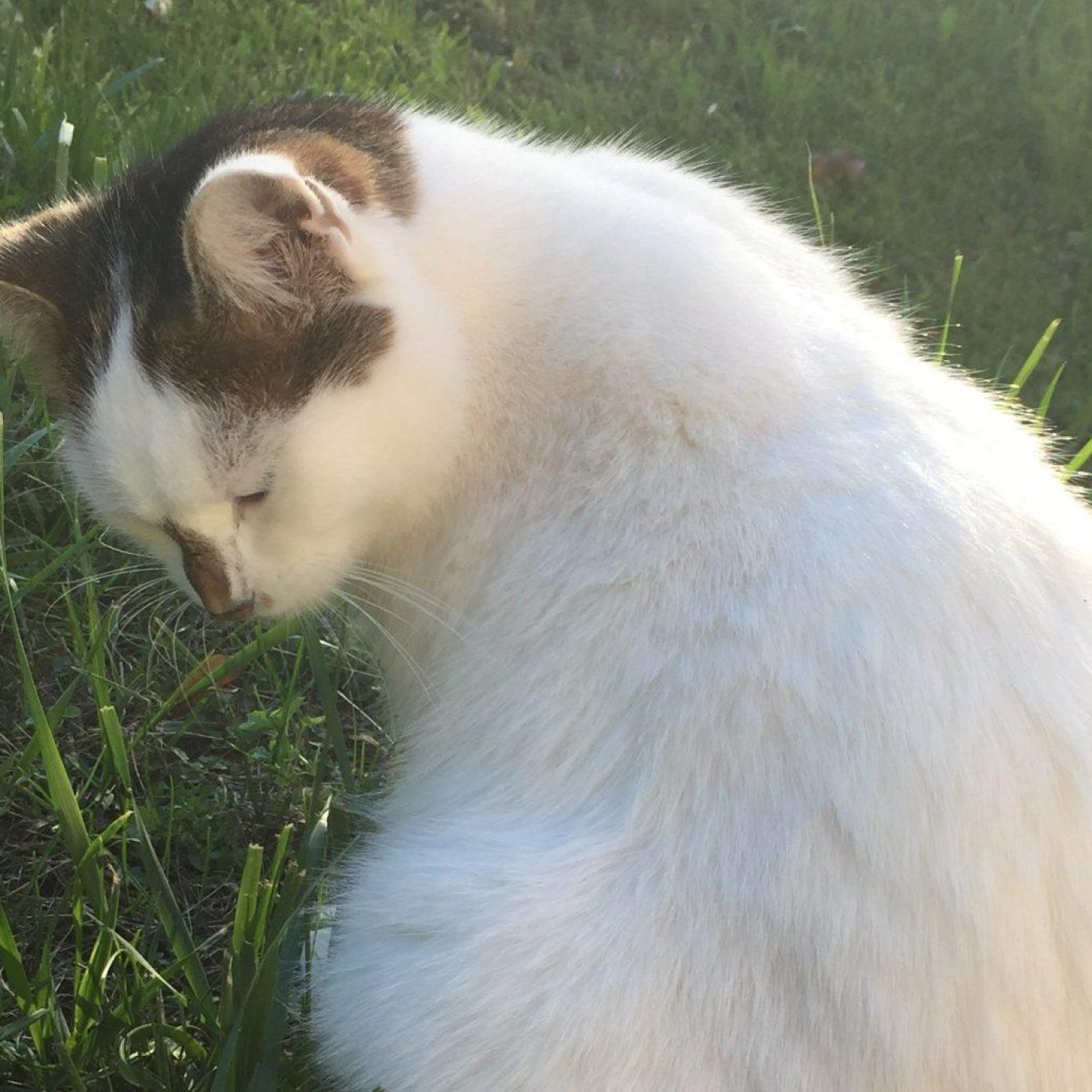 202307 kundenmeinung gisela l mail ooe