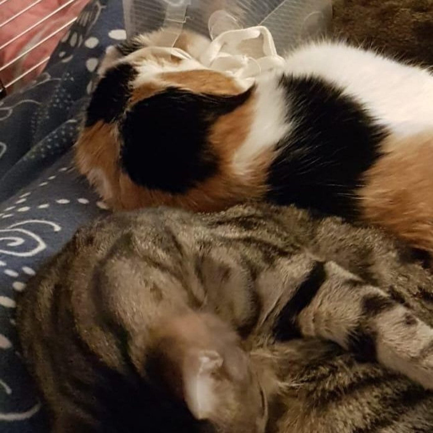 202307 kundenmeinung barbara s wien facebook