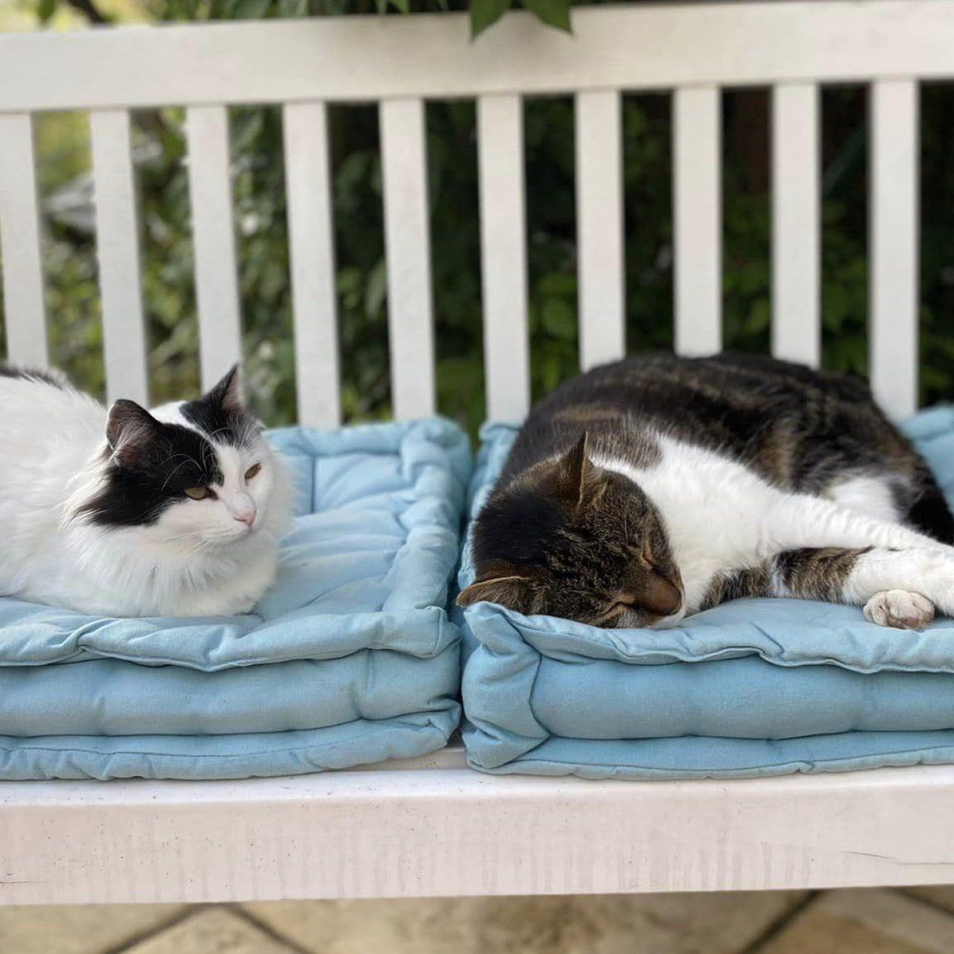 202307 kundenmeinung barabara r noe mail