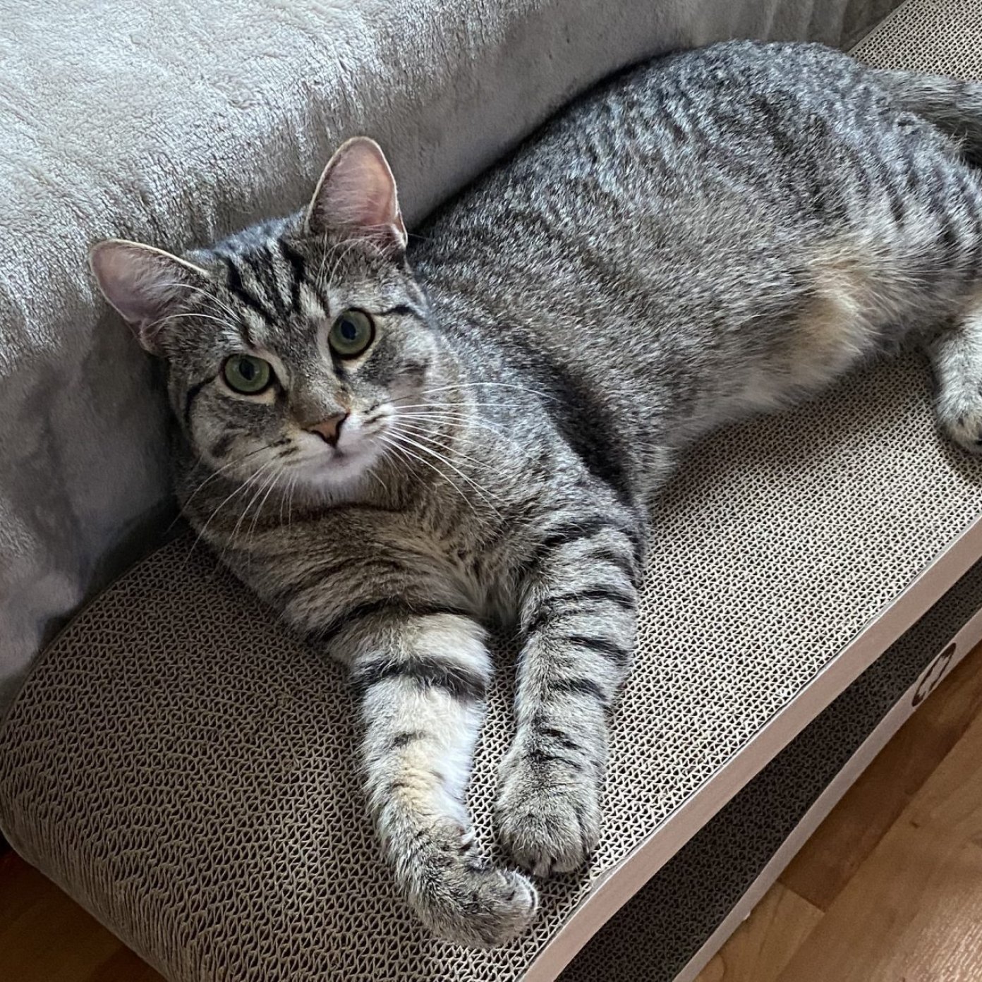 202306 kundenmeinung anna k mail noe