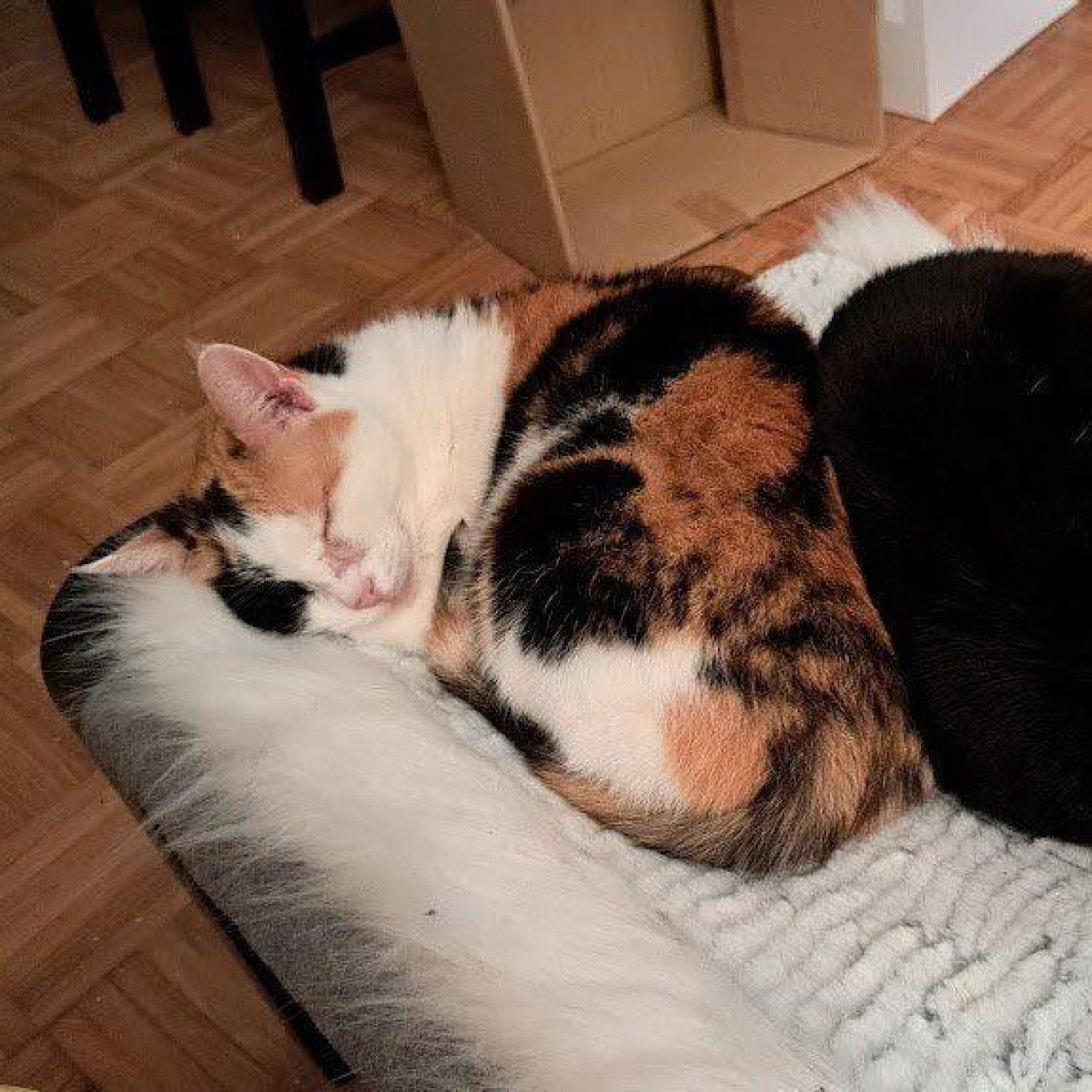 202305 kundenmeinung manuela h wien google