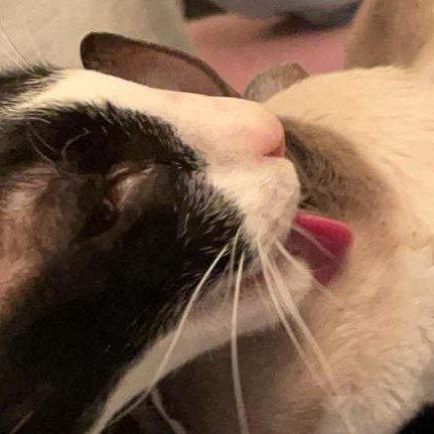 202303 kundenmeinung sabina a mail wien