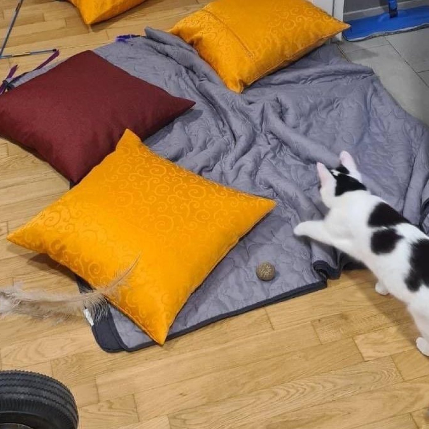 202303 kundenmeinung mathias r wien facebook