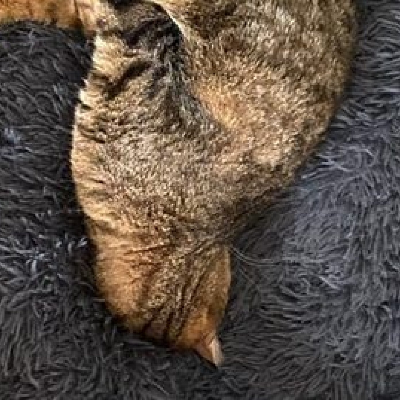 202207 kundenmeinung mail wien petra w