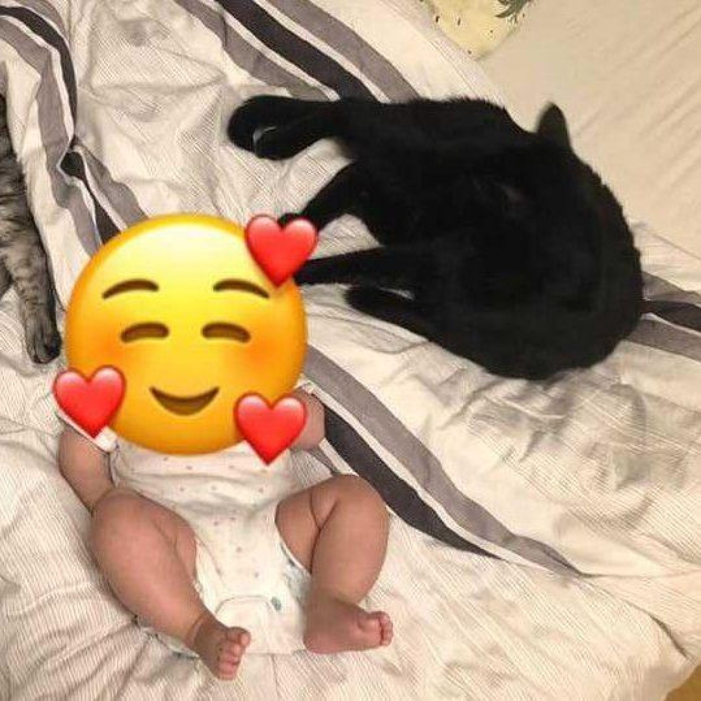 202107 kundenmeinung katharina h fb noe