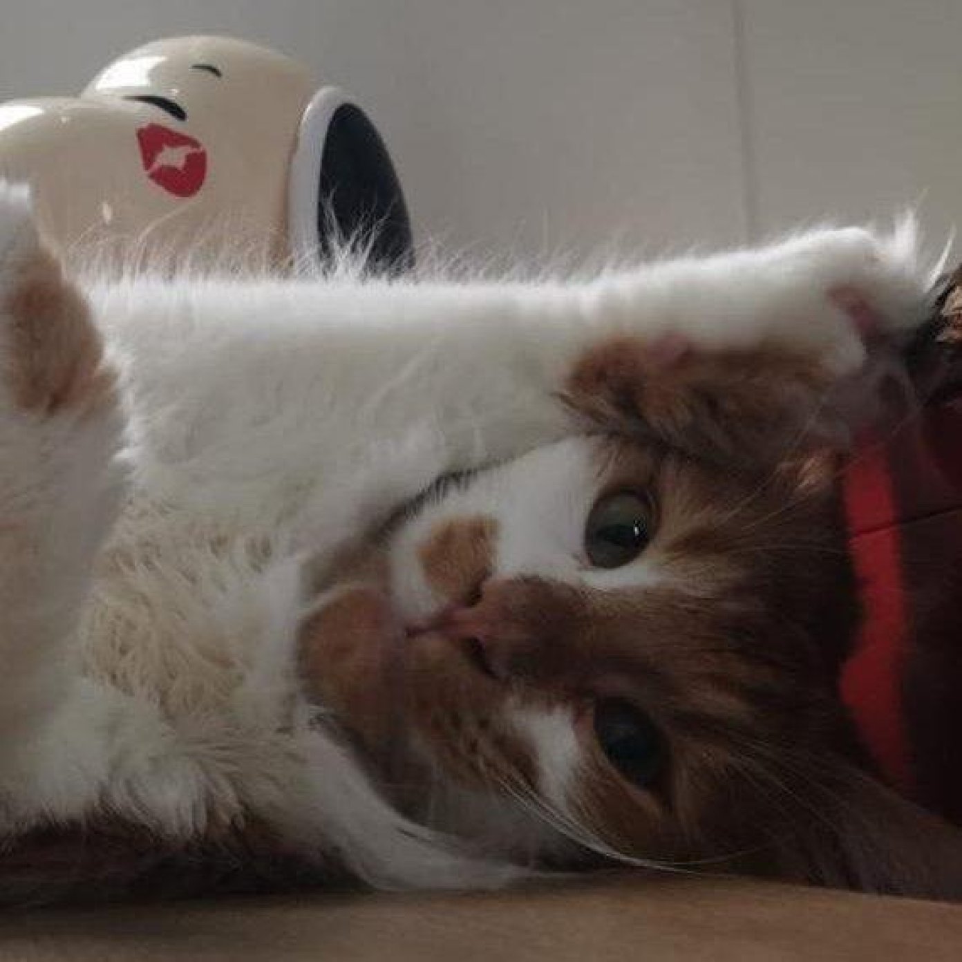 202107 kundenmeinung marlis p