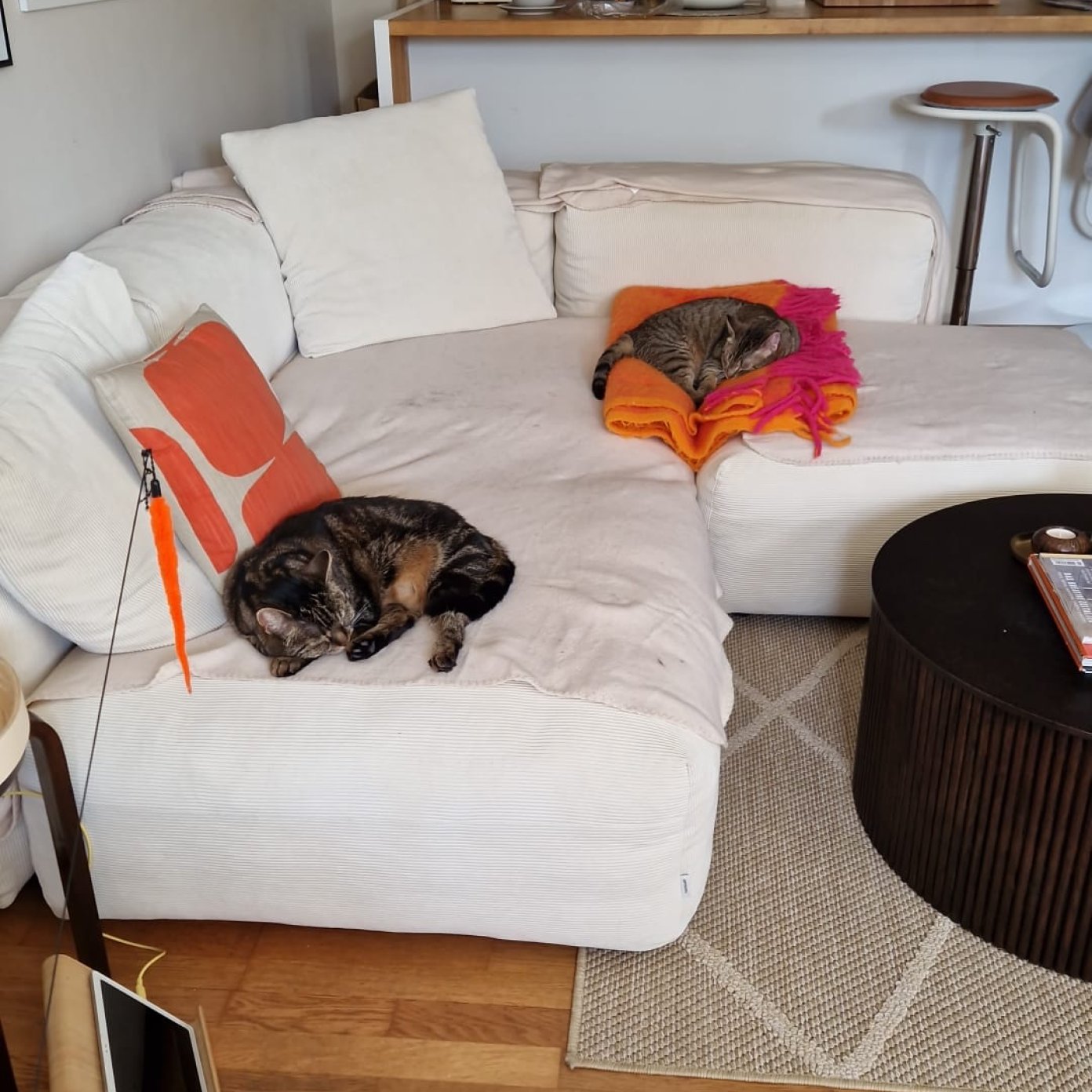 Kundenmeinung Brigitte P.