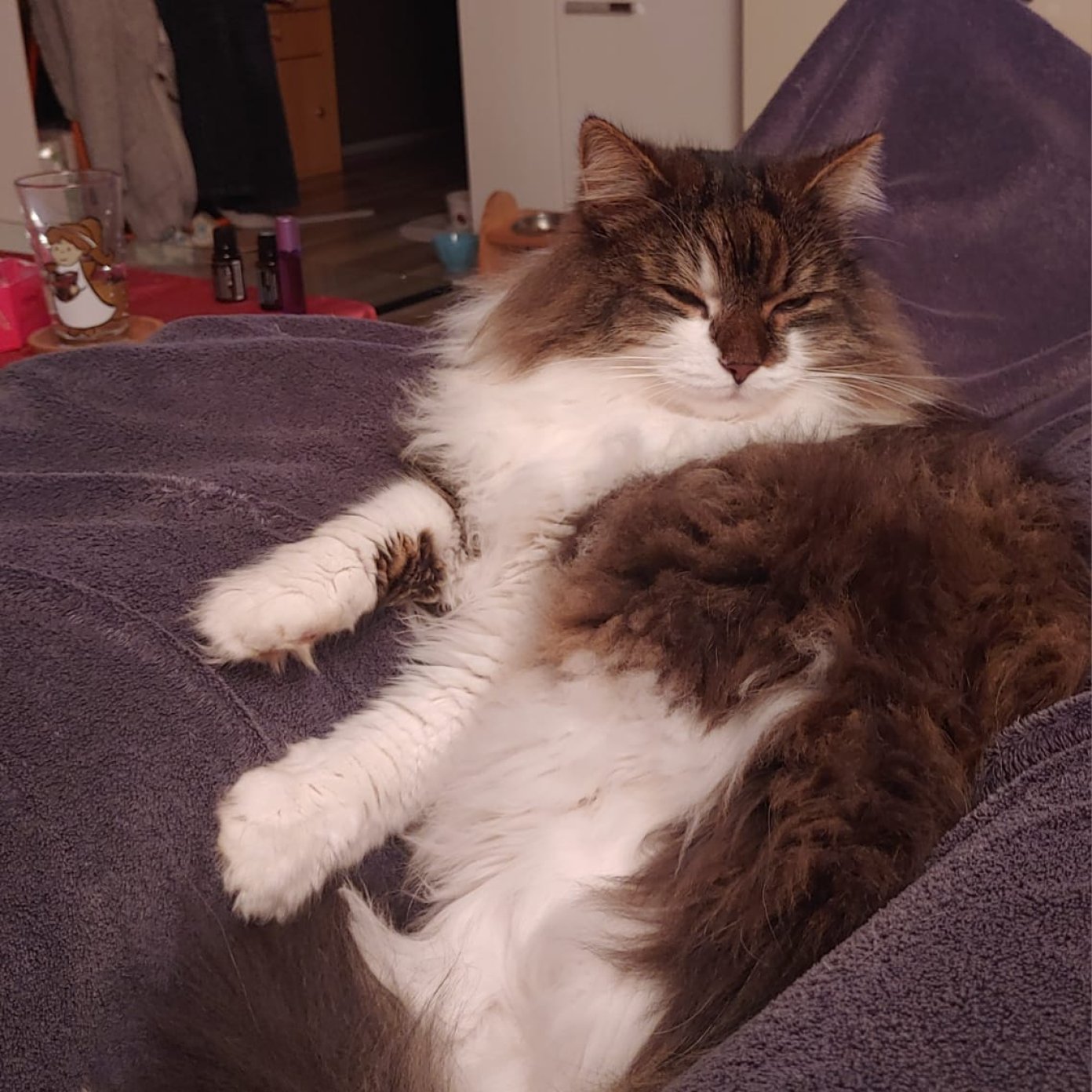 Kundenmeinung Carina