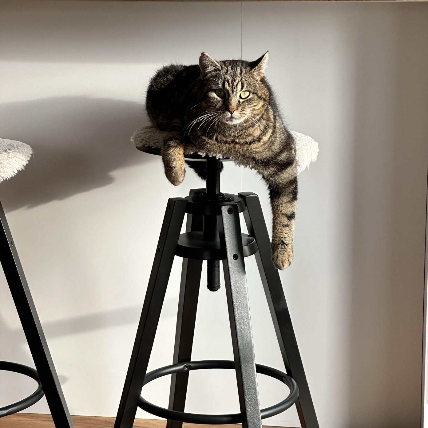 Kundenmeinung Michaela