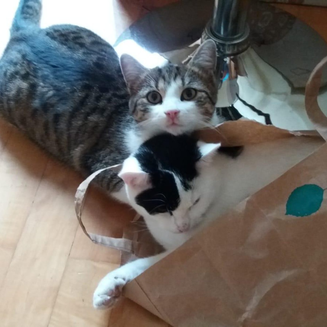 Kundenmeinung brigitte noe mail