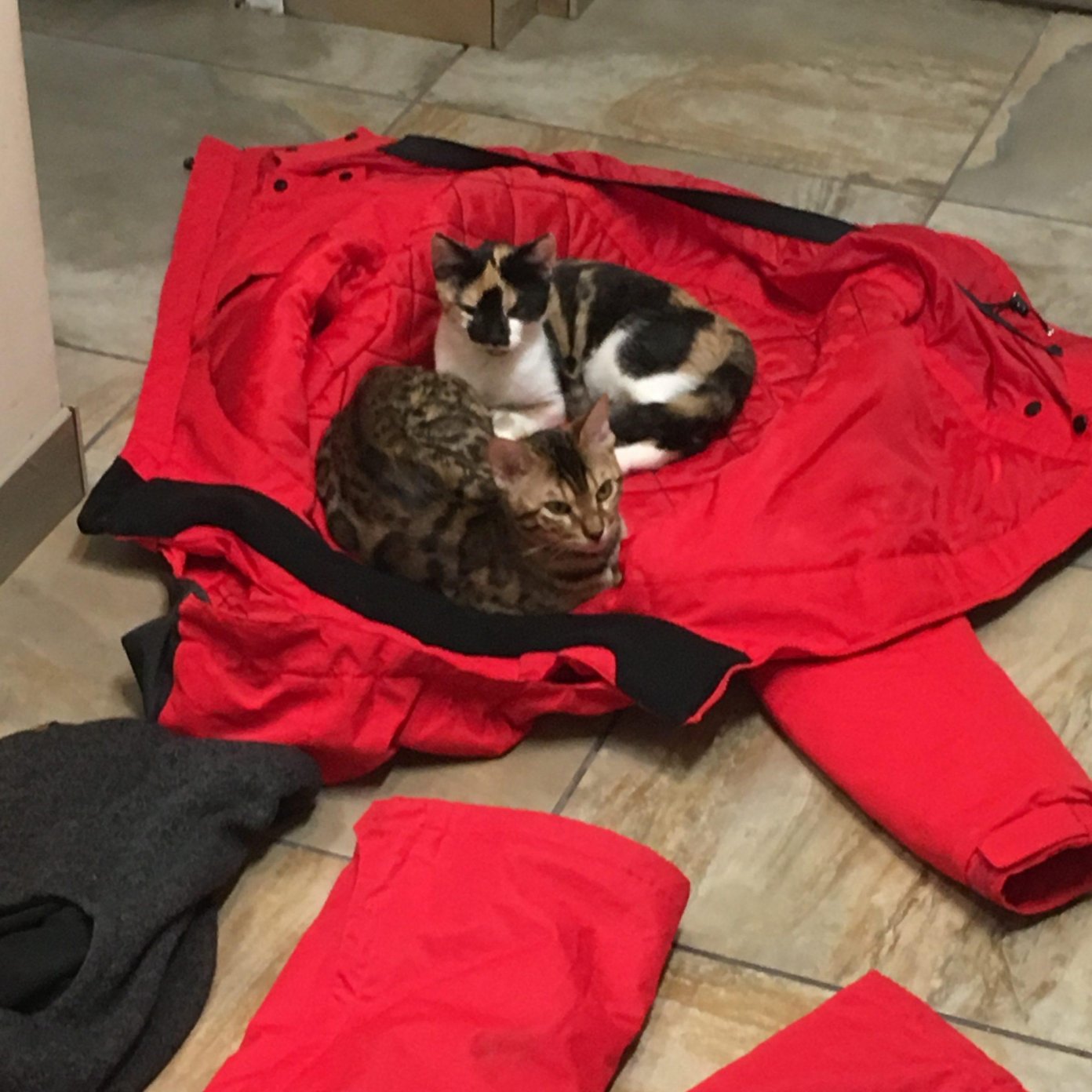 Kundenmeinung elisabeth d