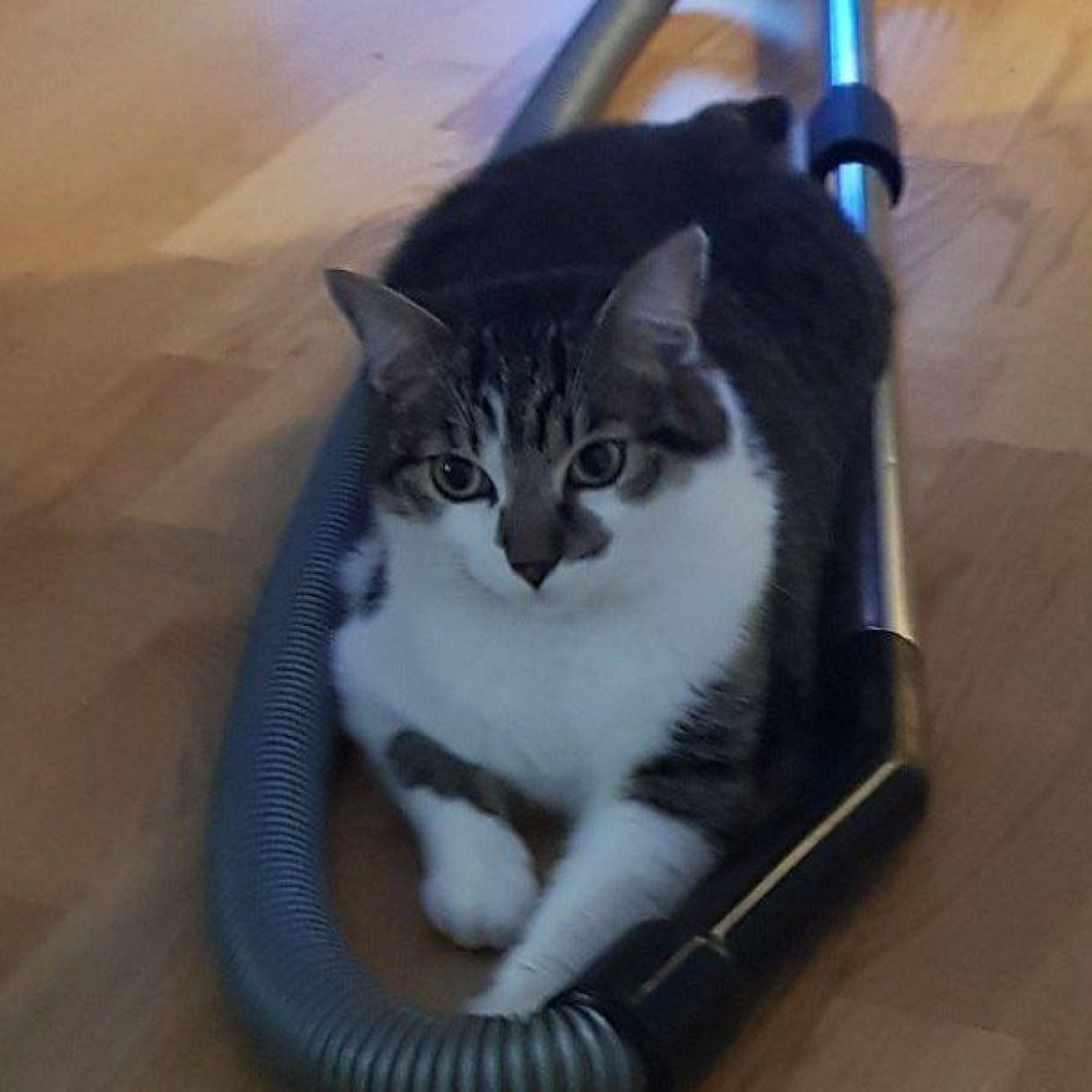 Kundenmeinung marion m