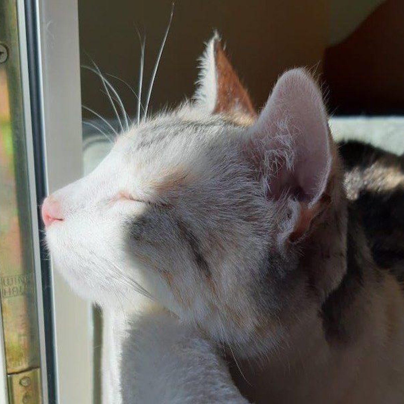 Kundenmeinung renate p