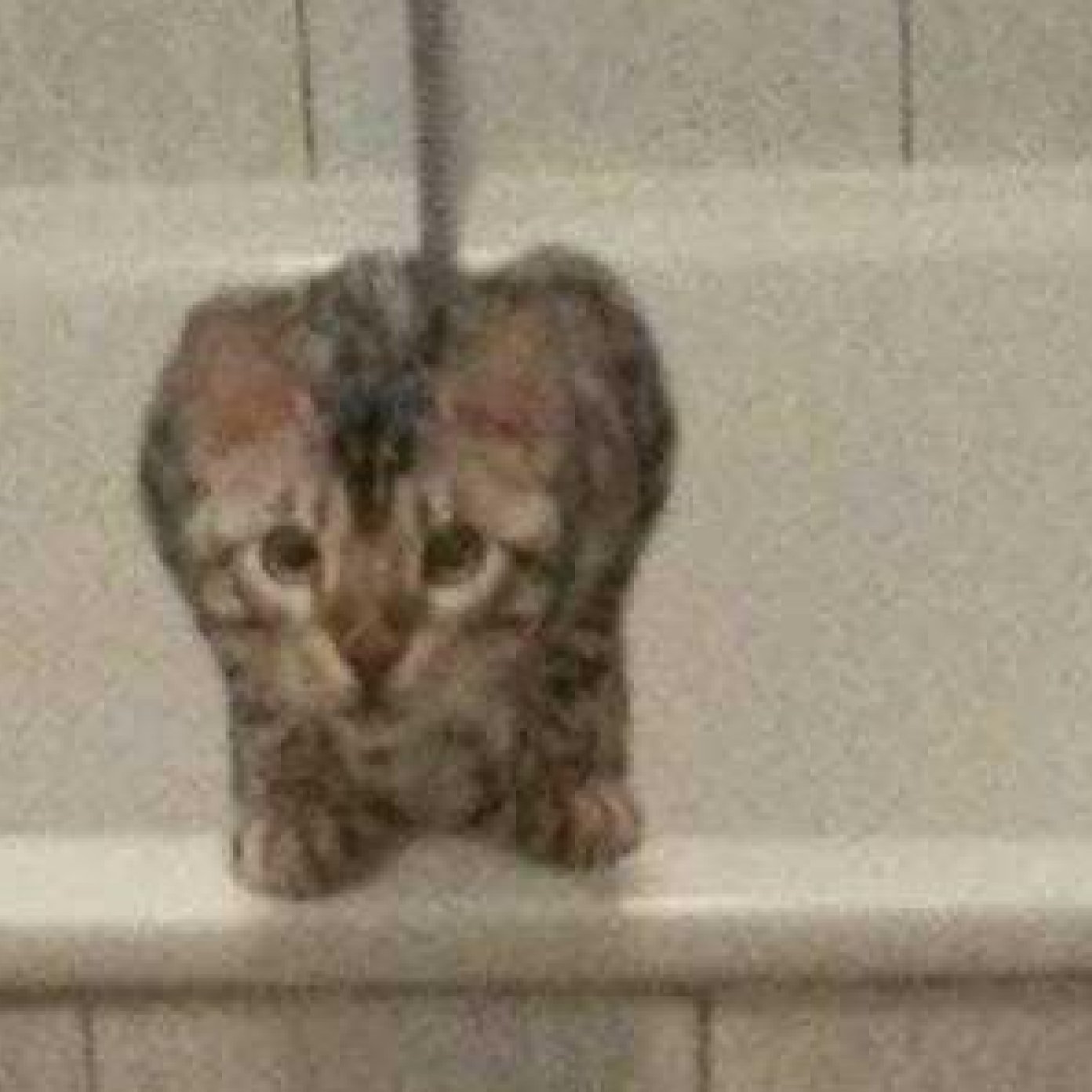 Kundenmeinung sabrina h