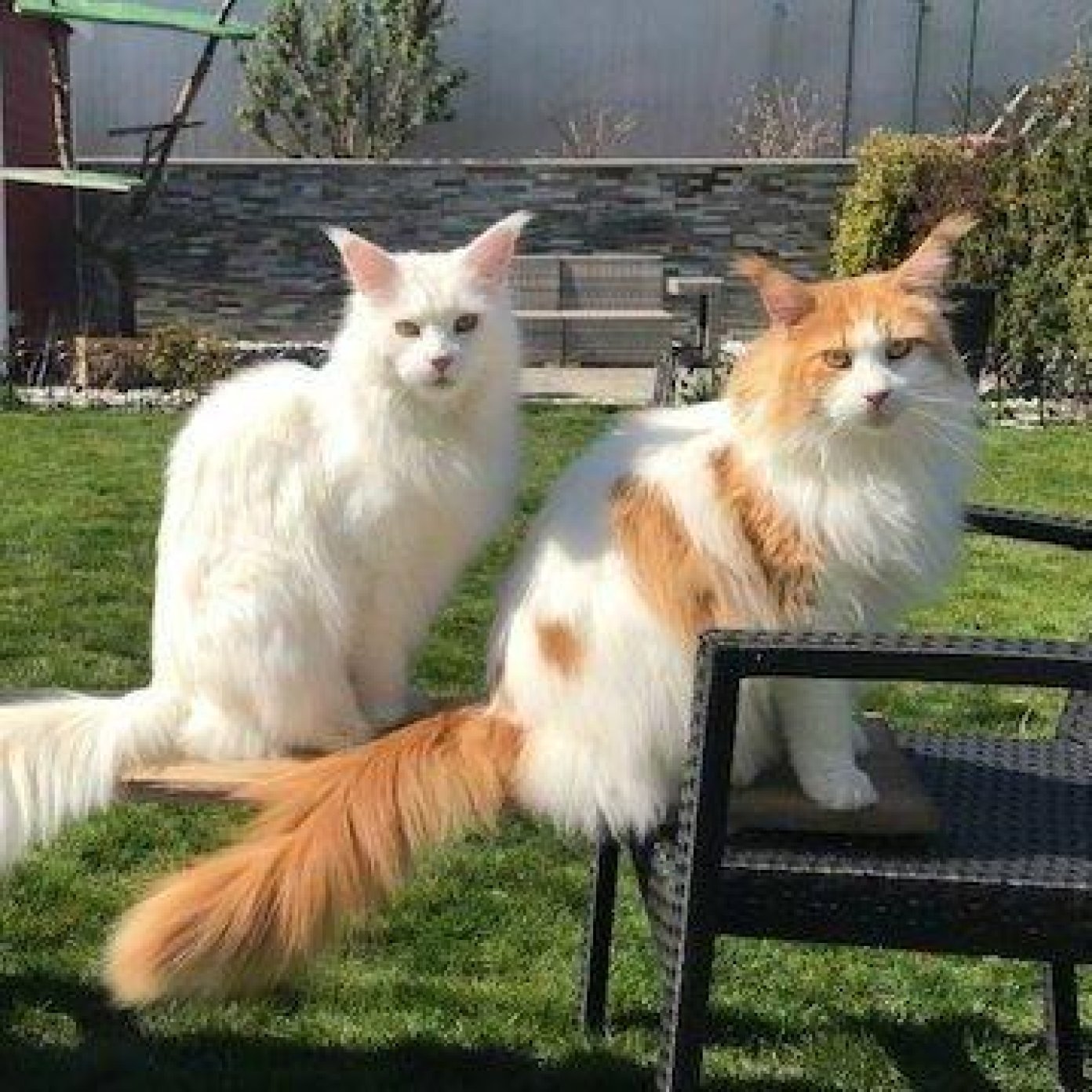 Kundenmeinung sandra p