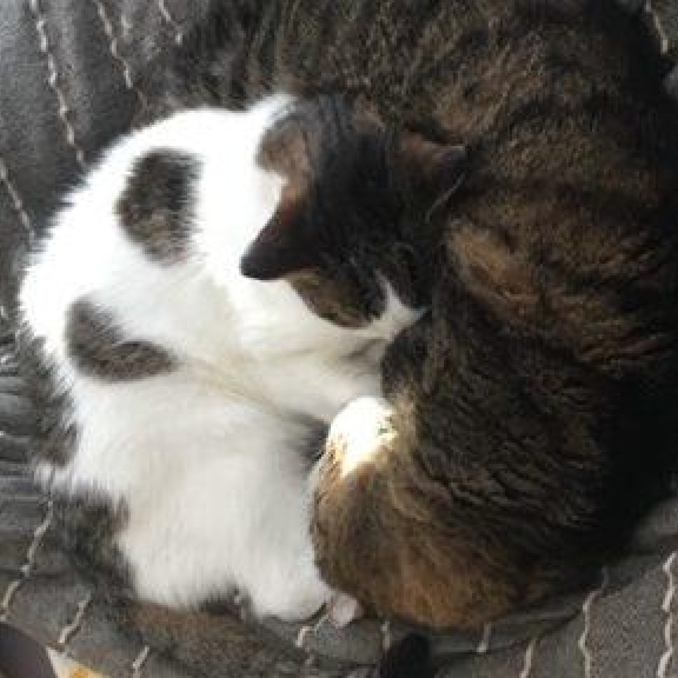 Kundenmeinung stefanie s